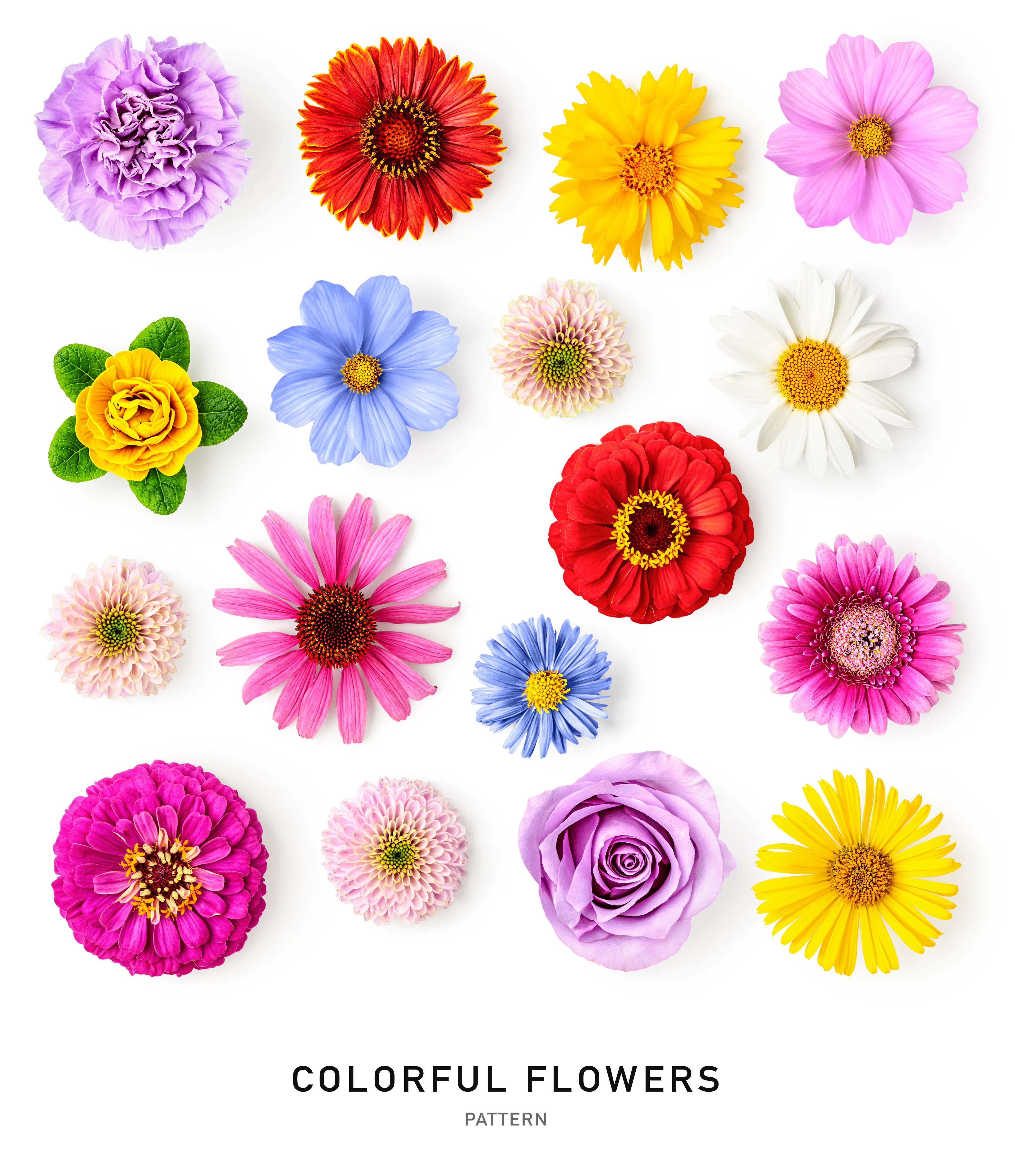 fresh flowers