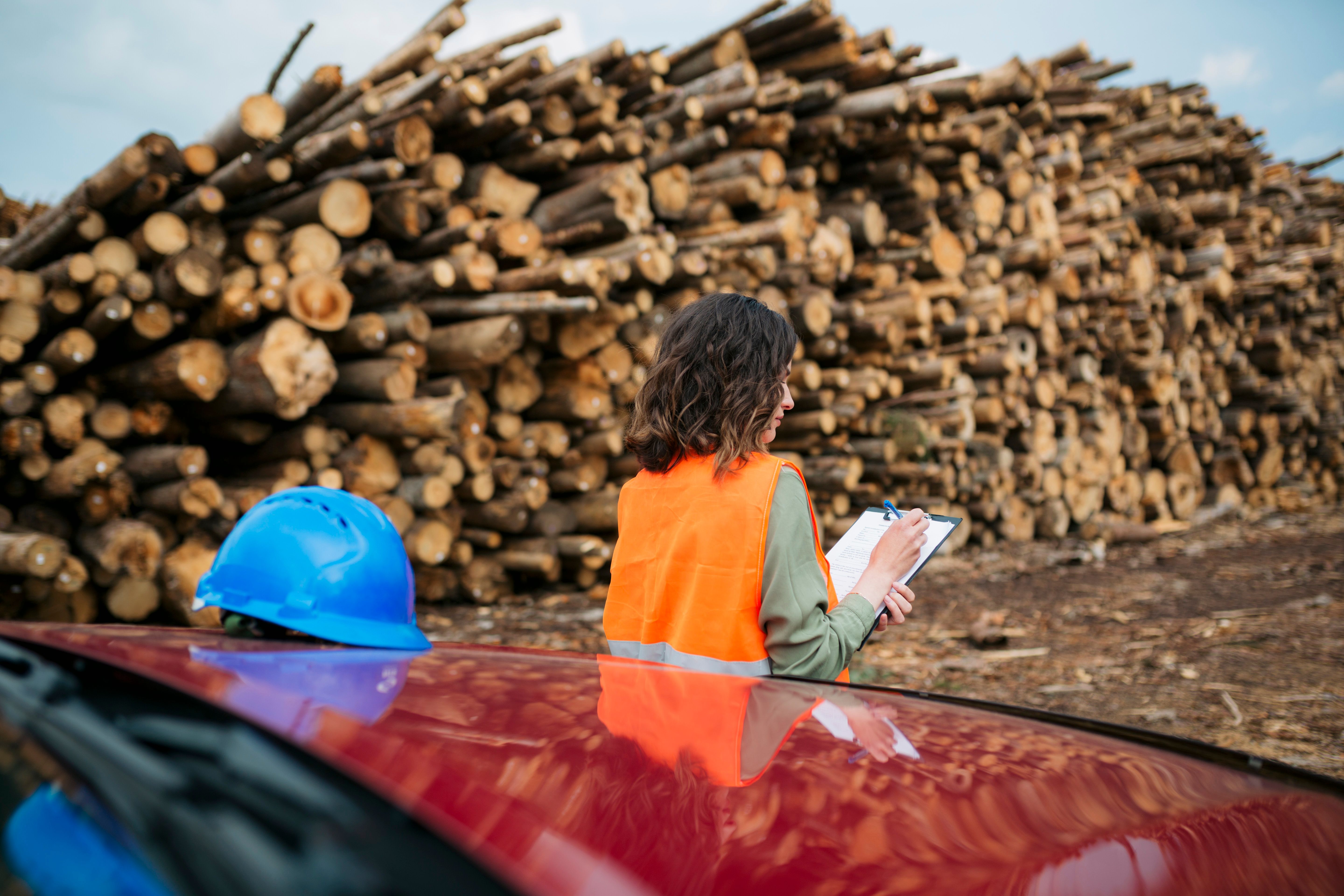 wood pellet inspection
