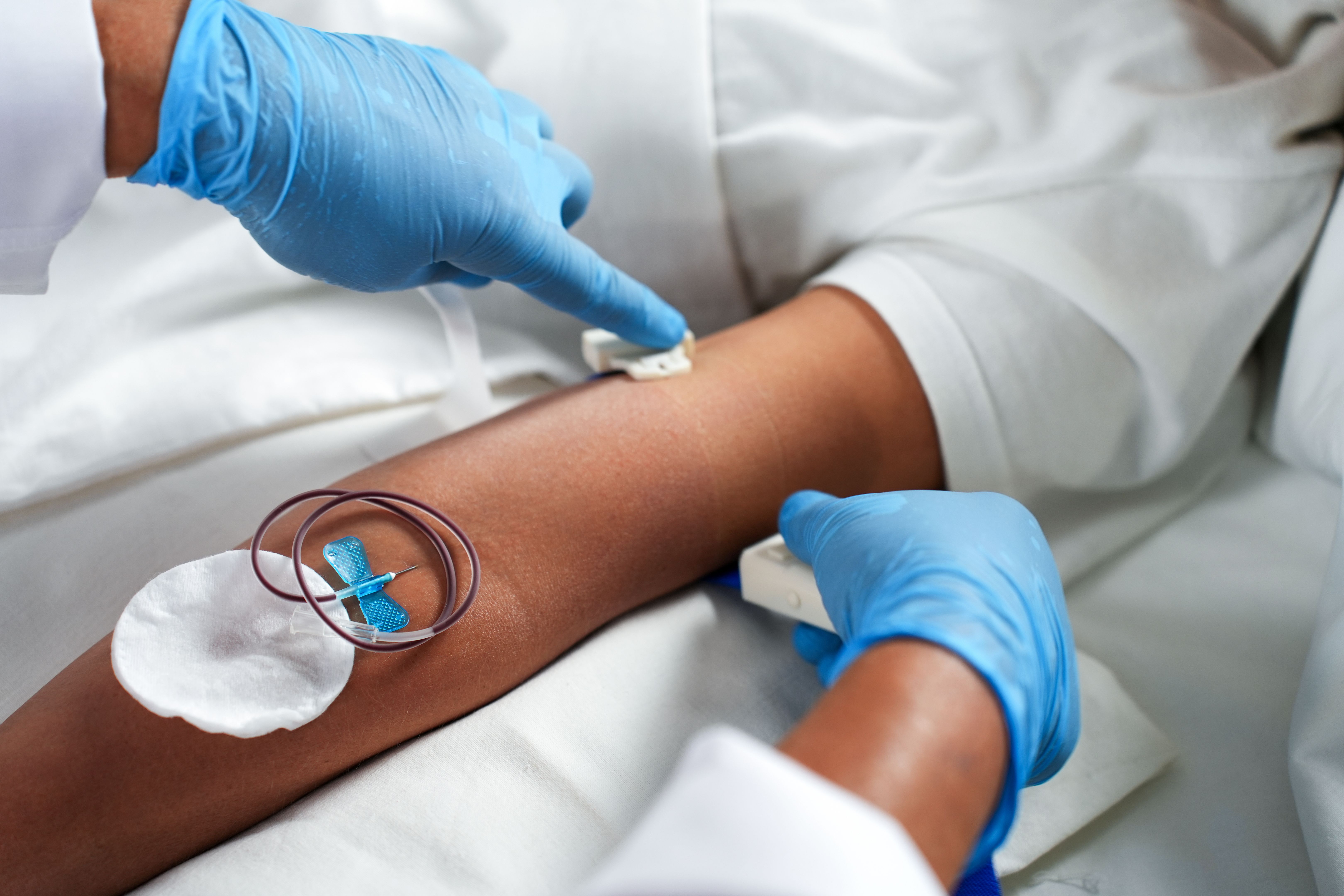 phlebotomy procedure