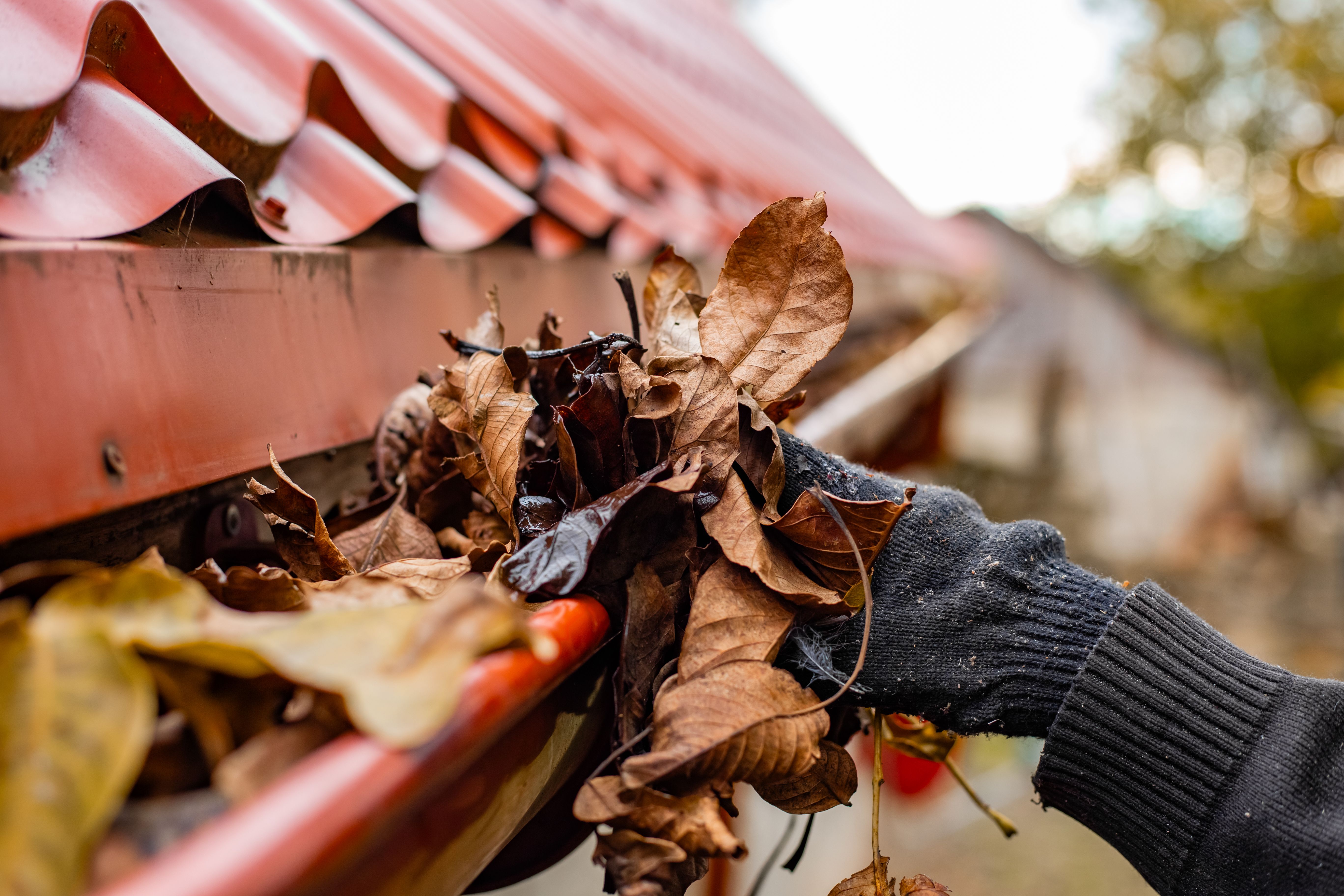 gutter cleaning