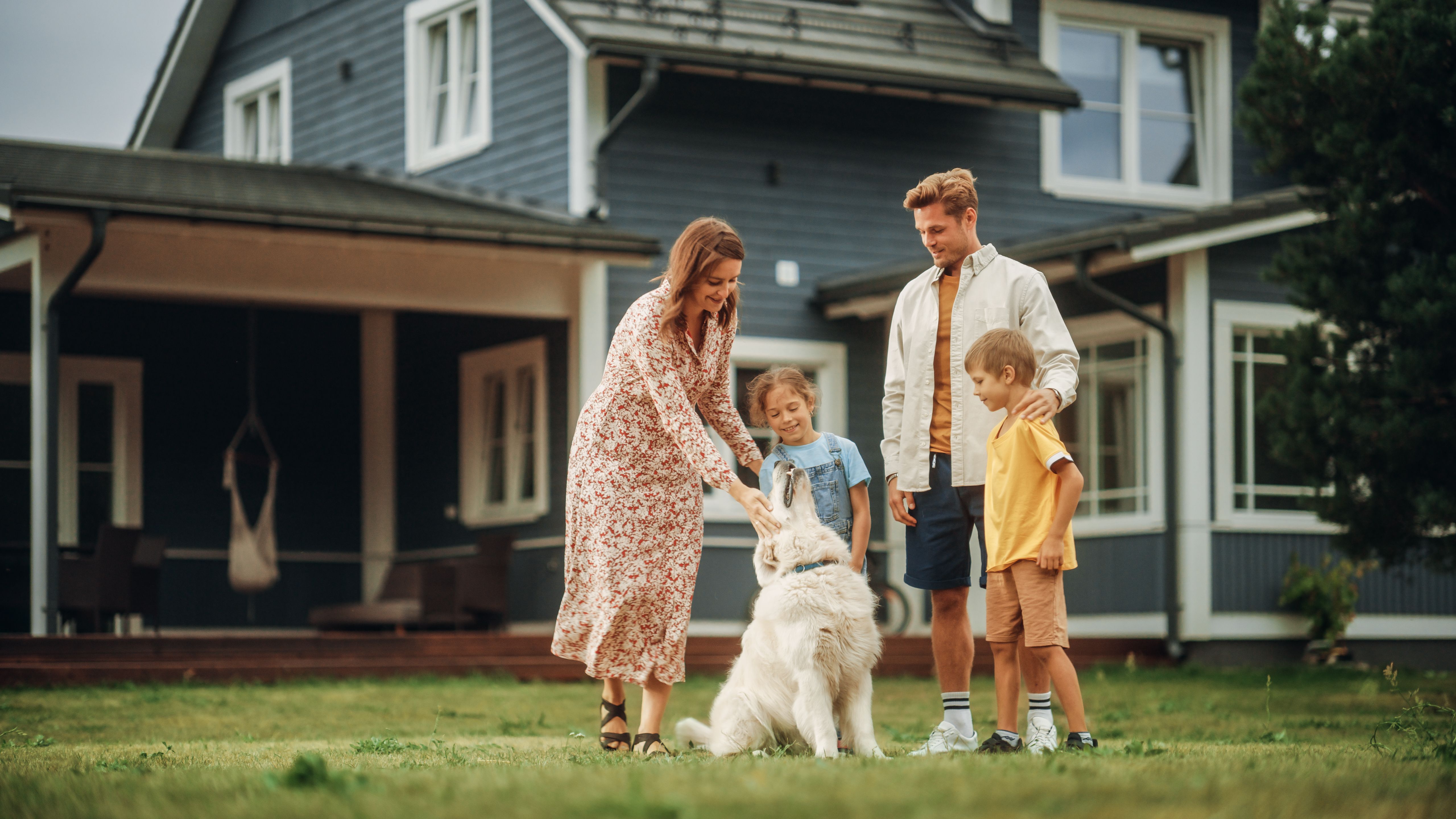 pets happy family