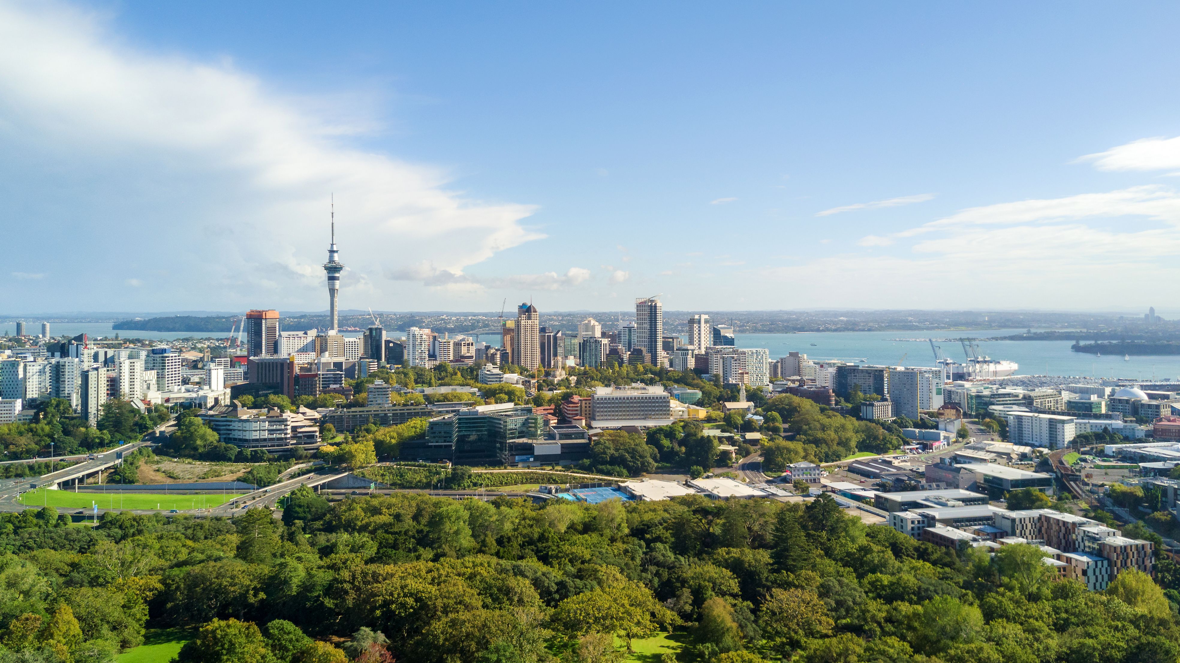 auckland skyline