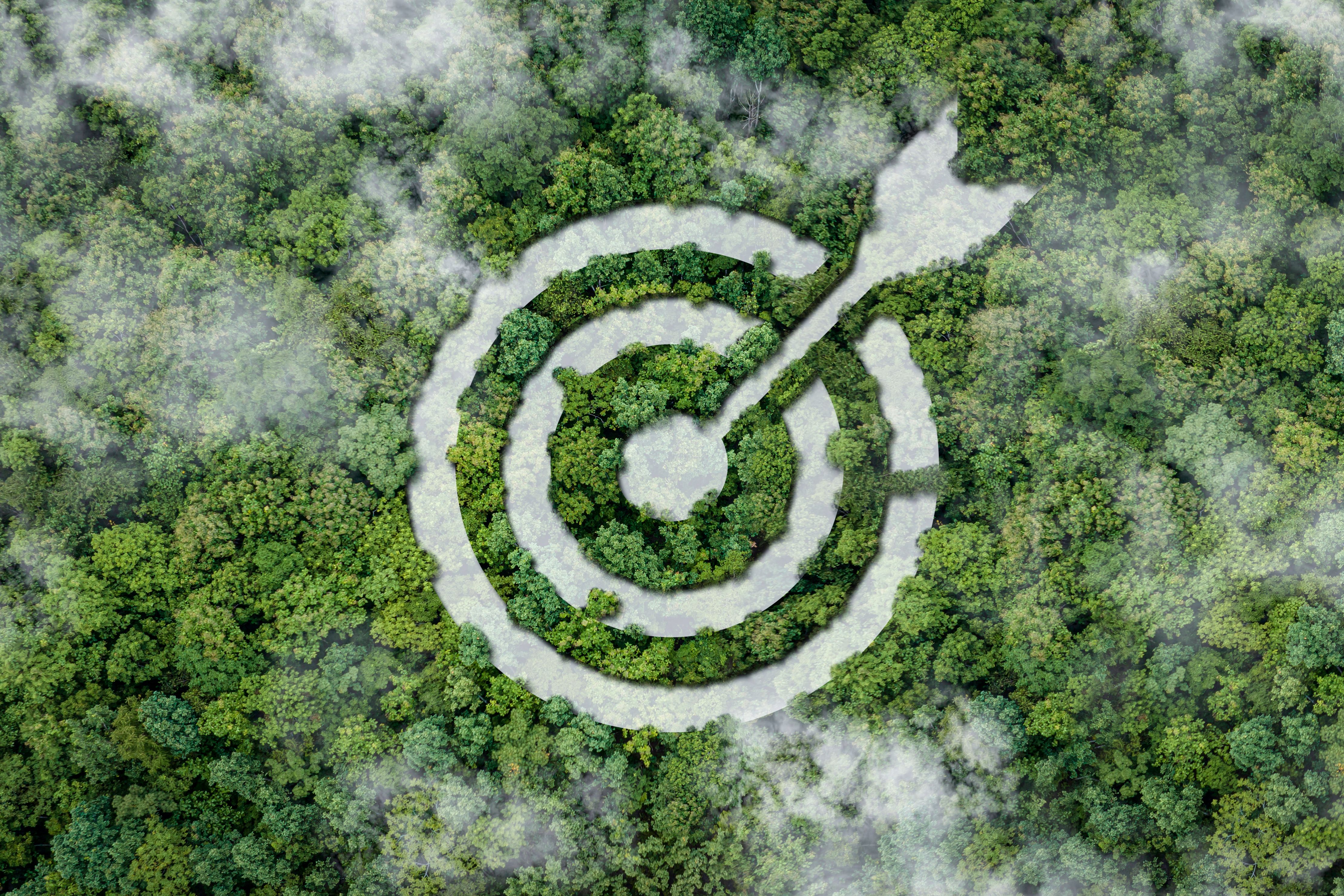sustainability in marketing
