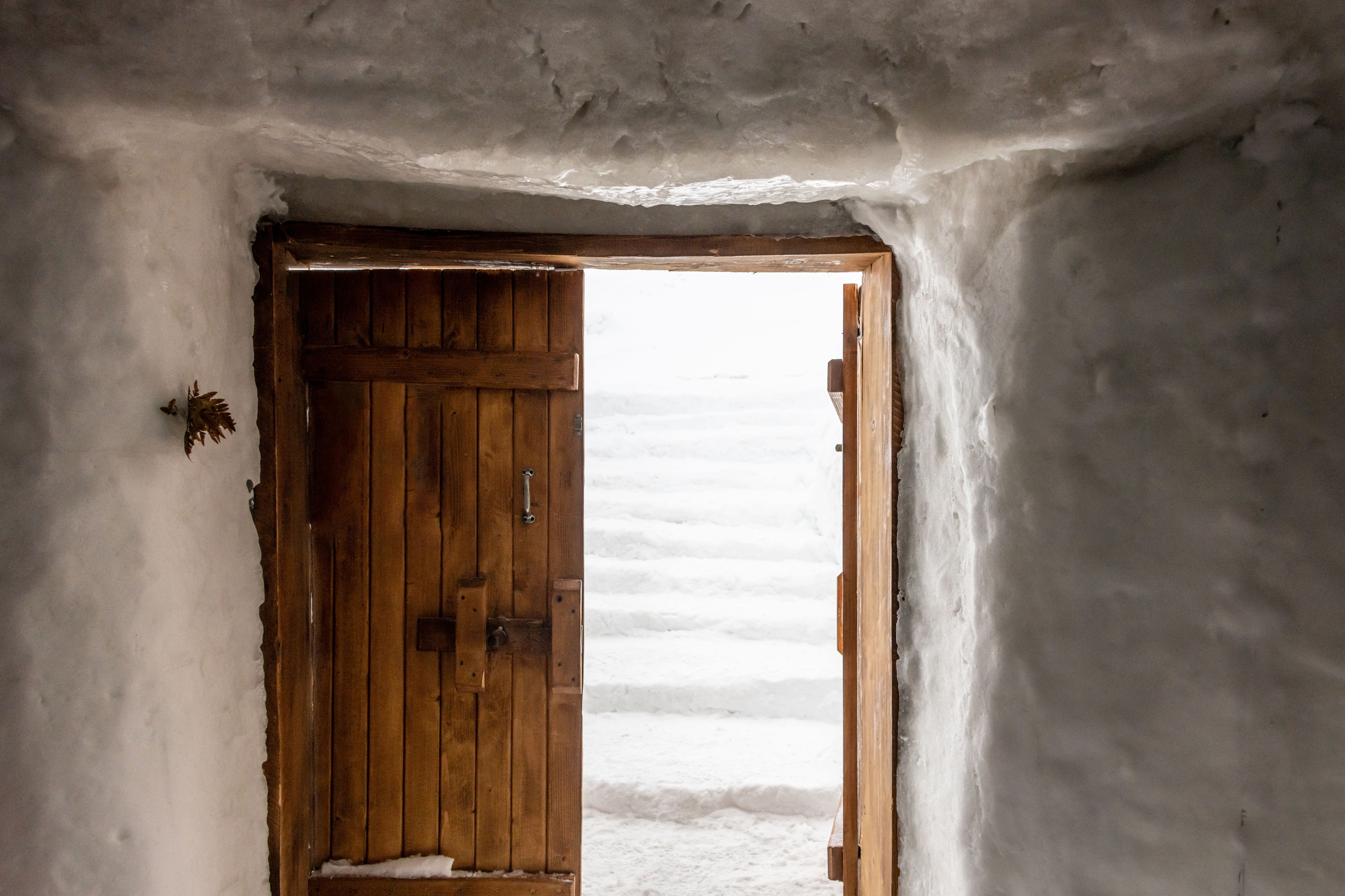 wooden door winter