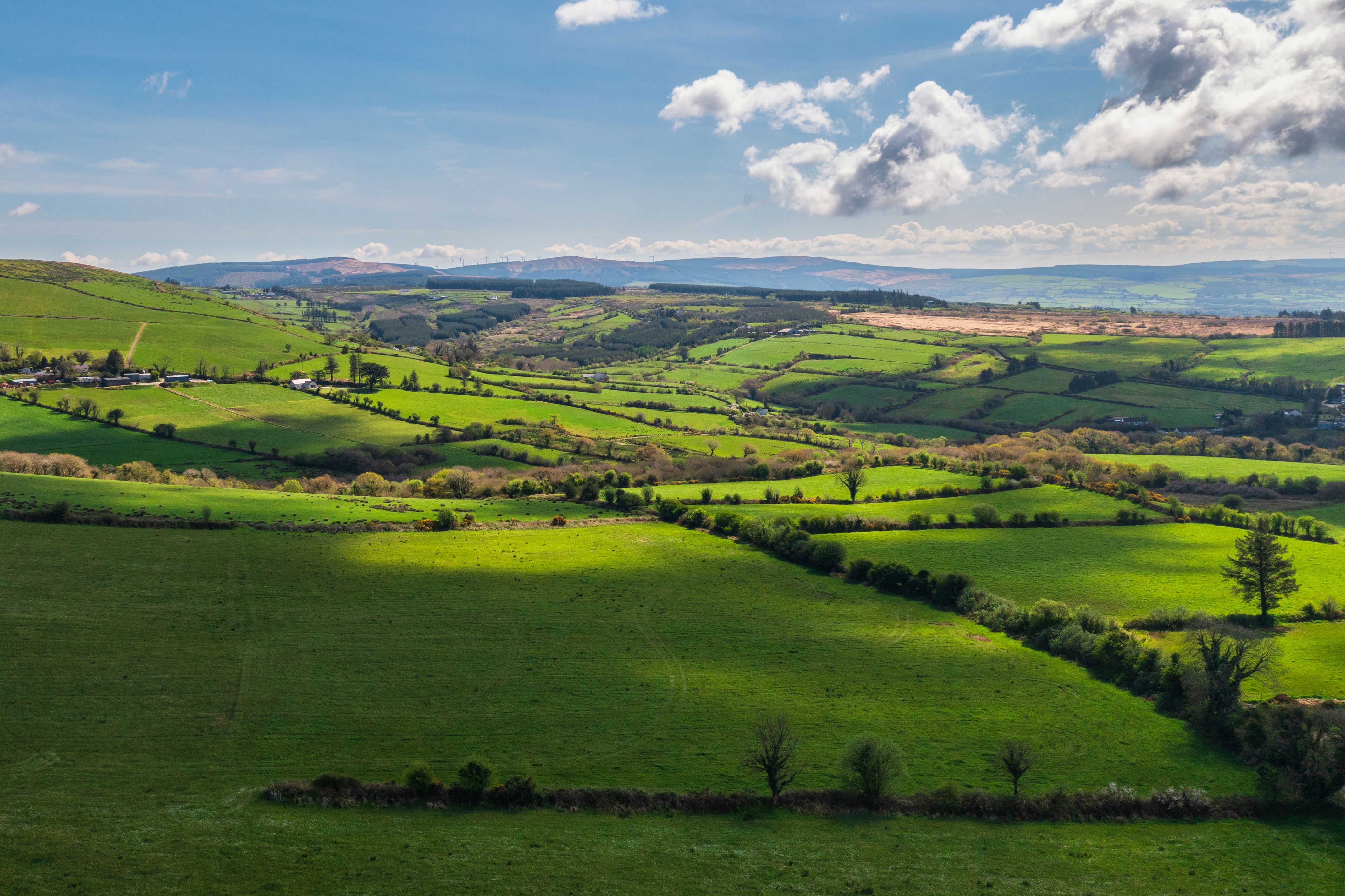 irish farmland