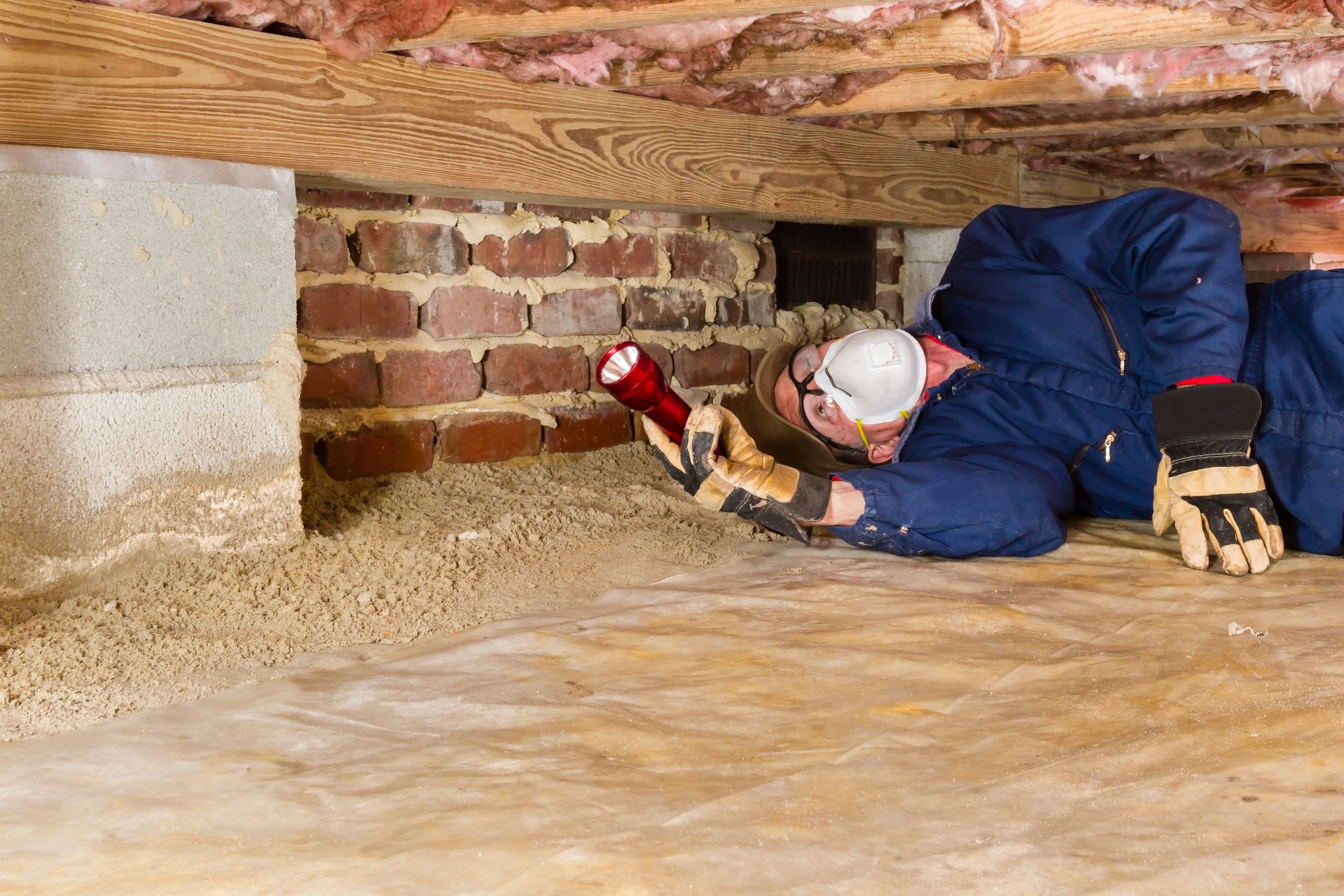 crawlspace inspection