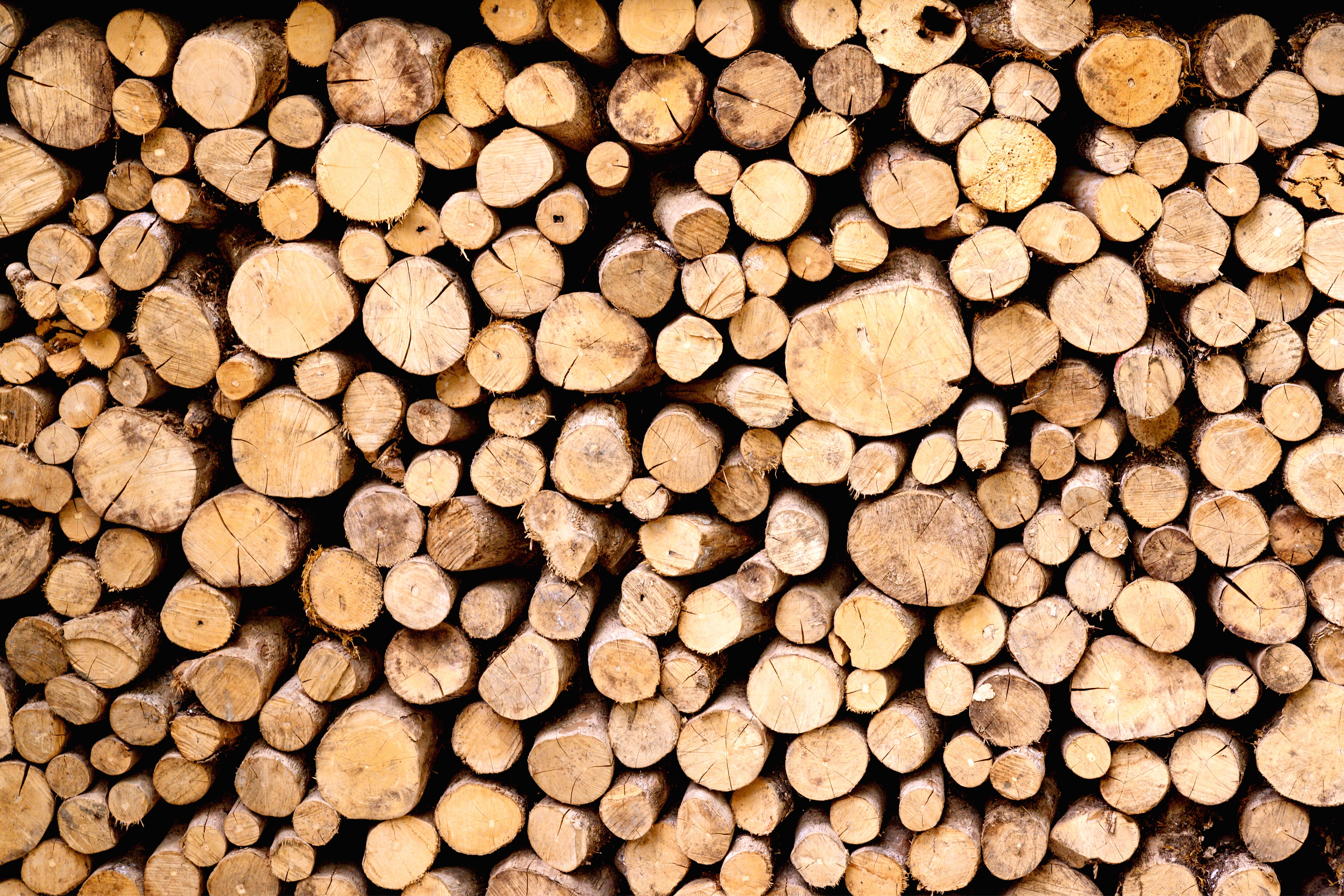 fire resistant wood