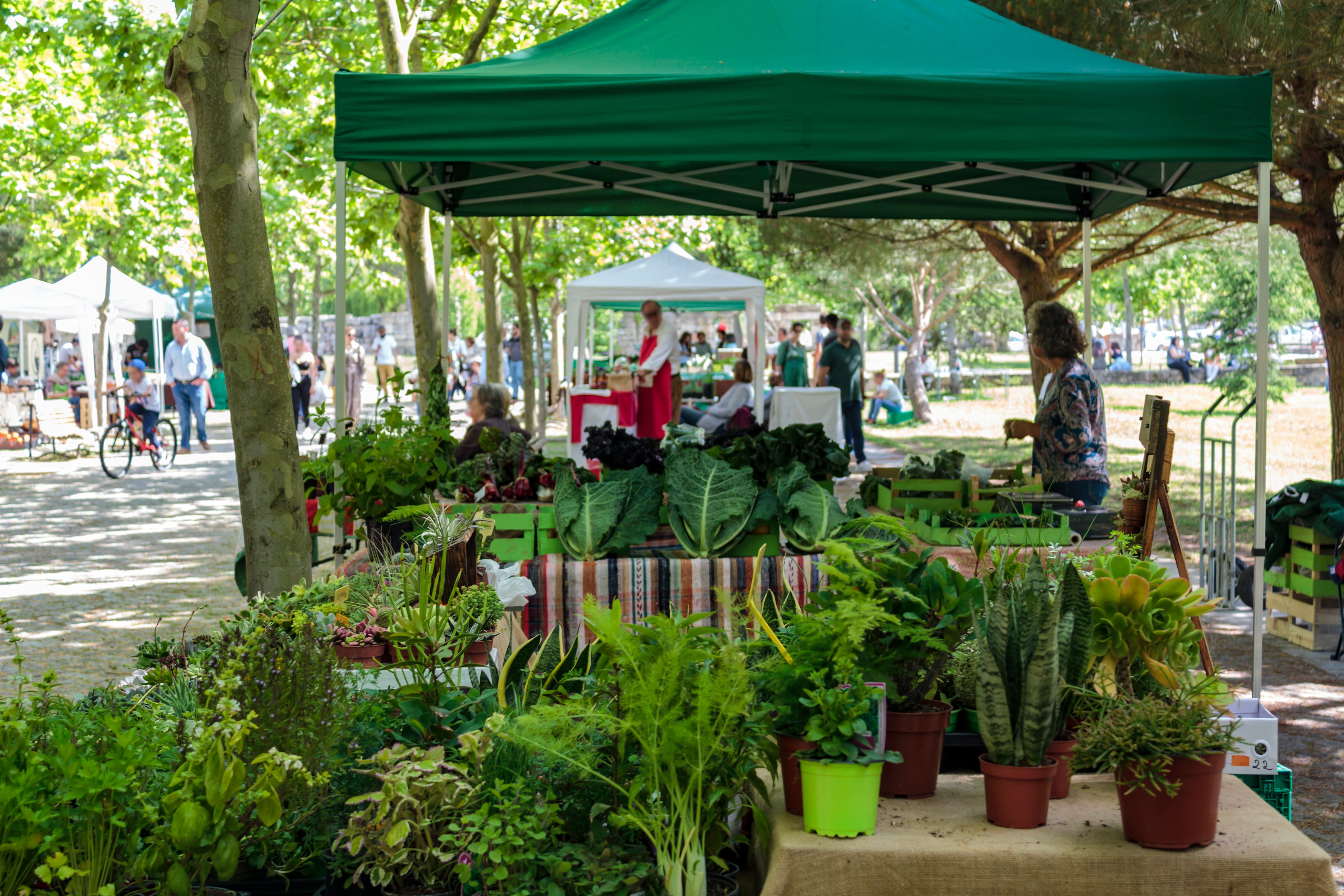 local farmers market