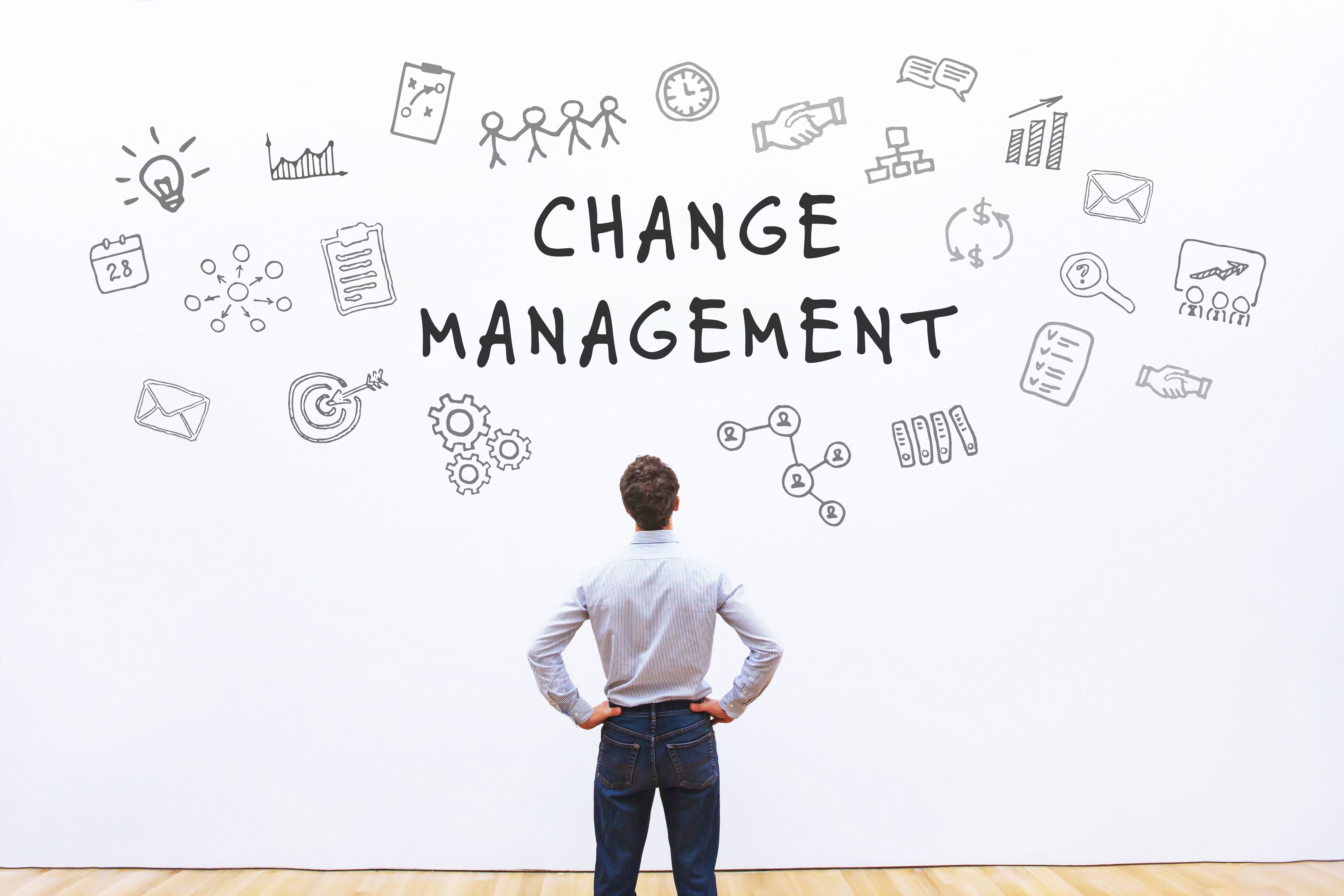 organizational change