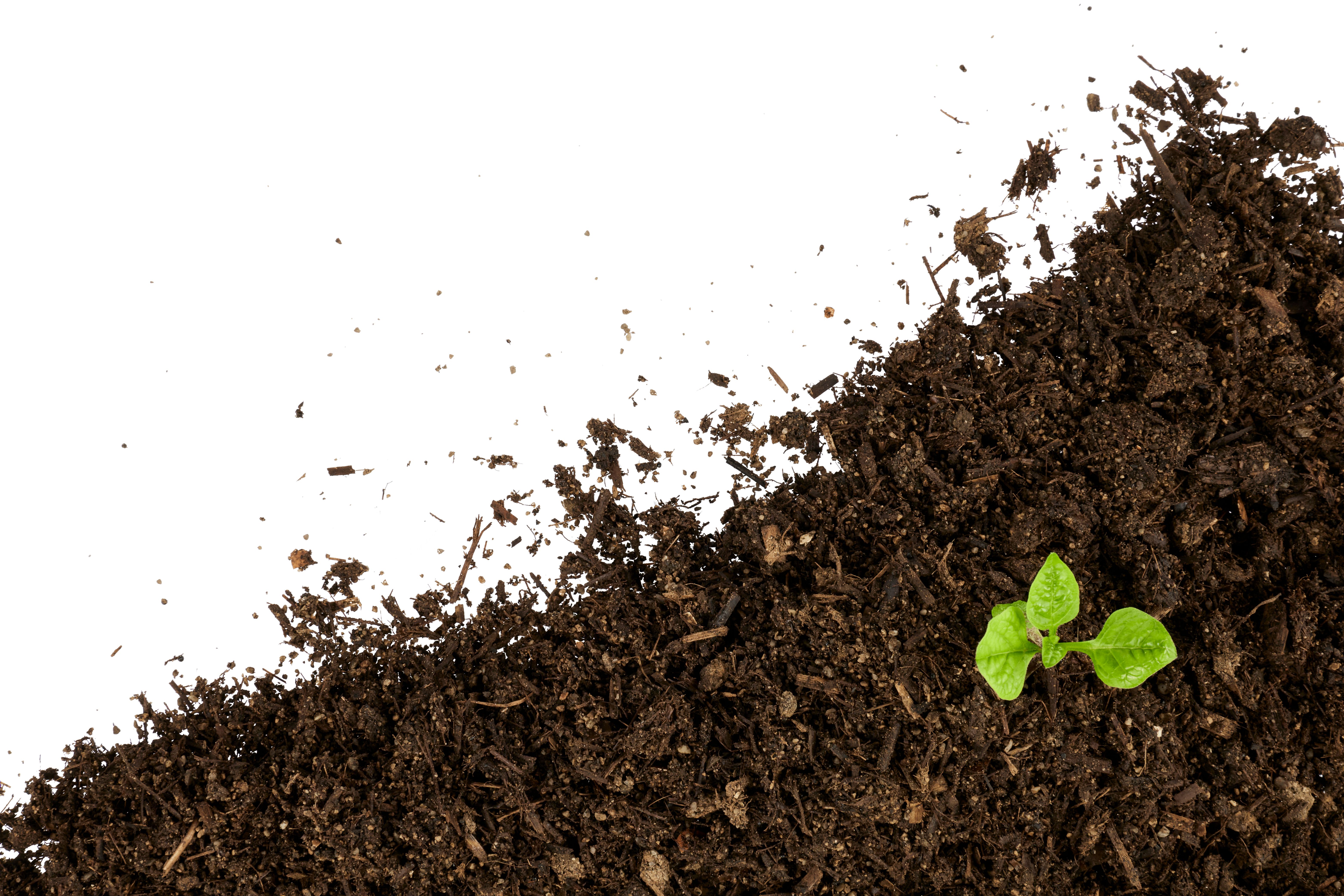 soil gardening