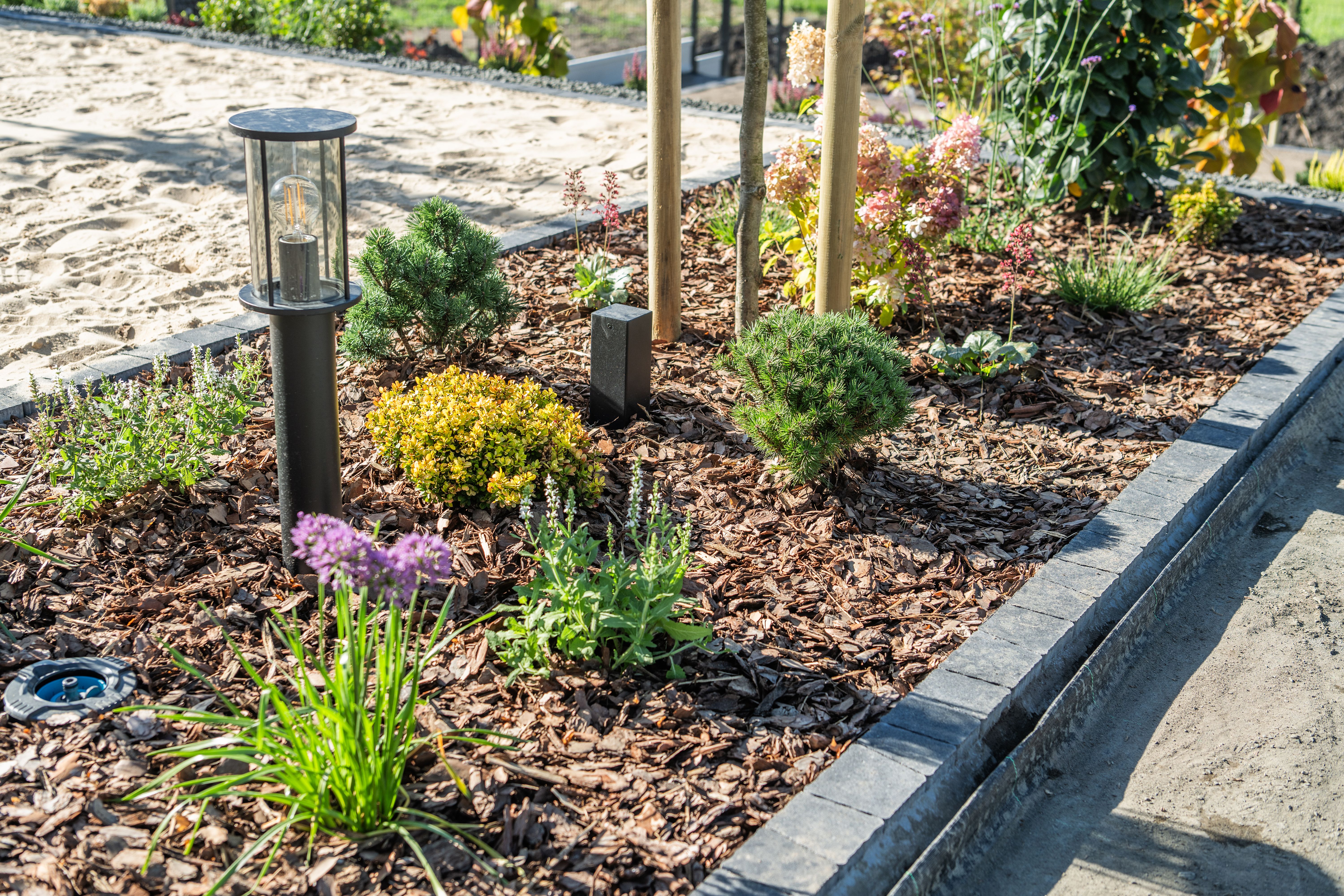 low maintenance garden