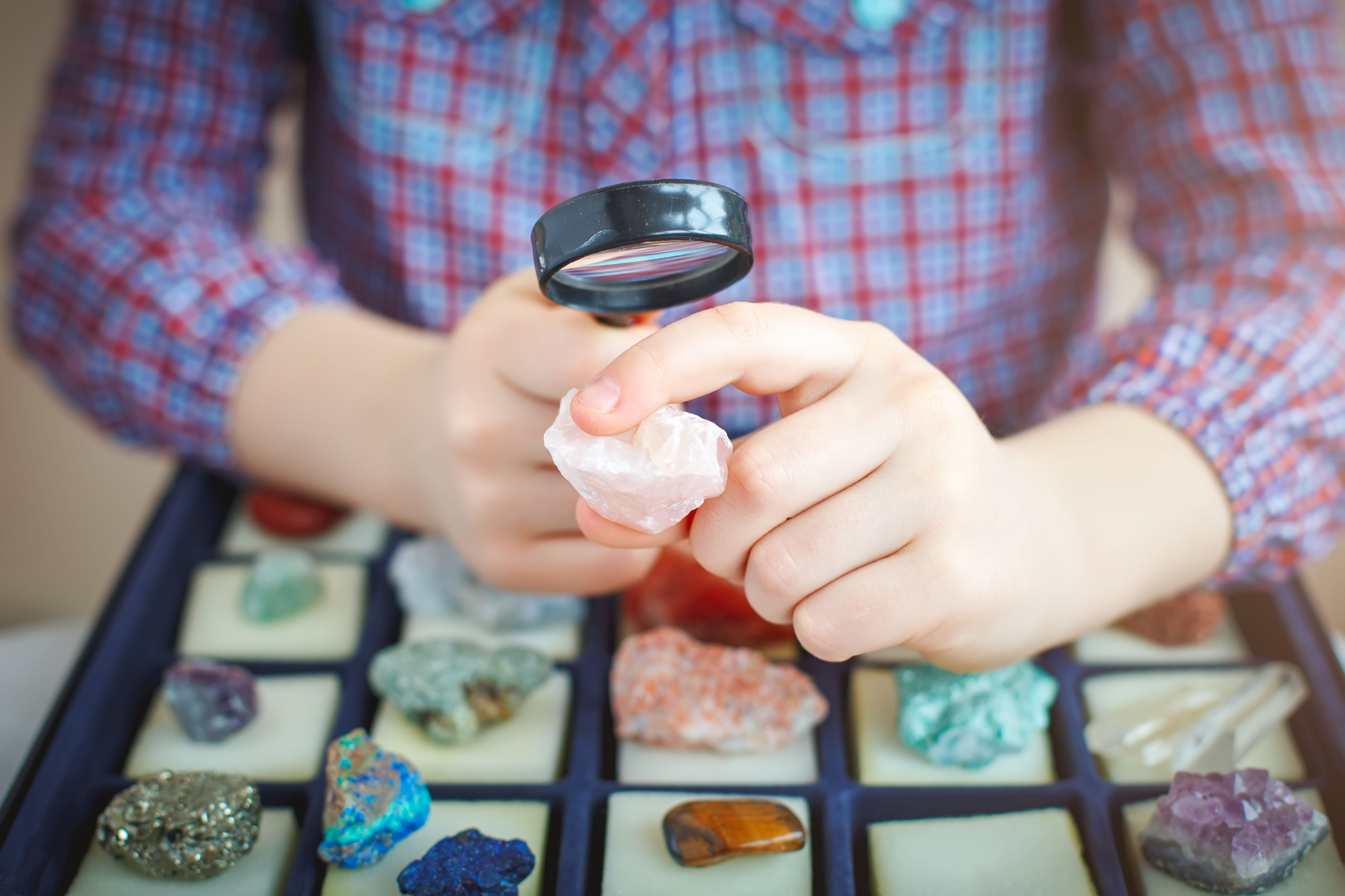 child studying science