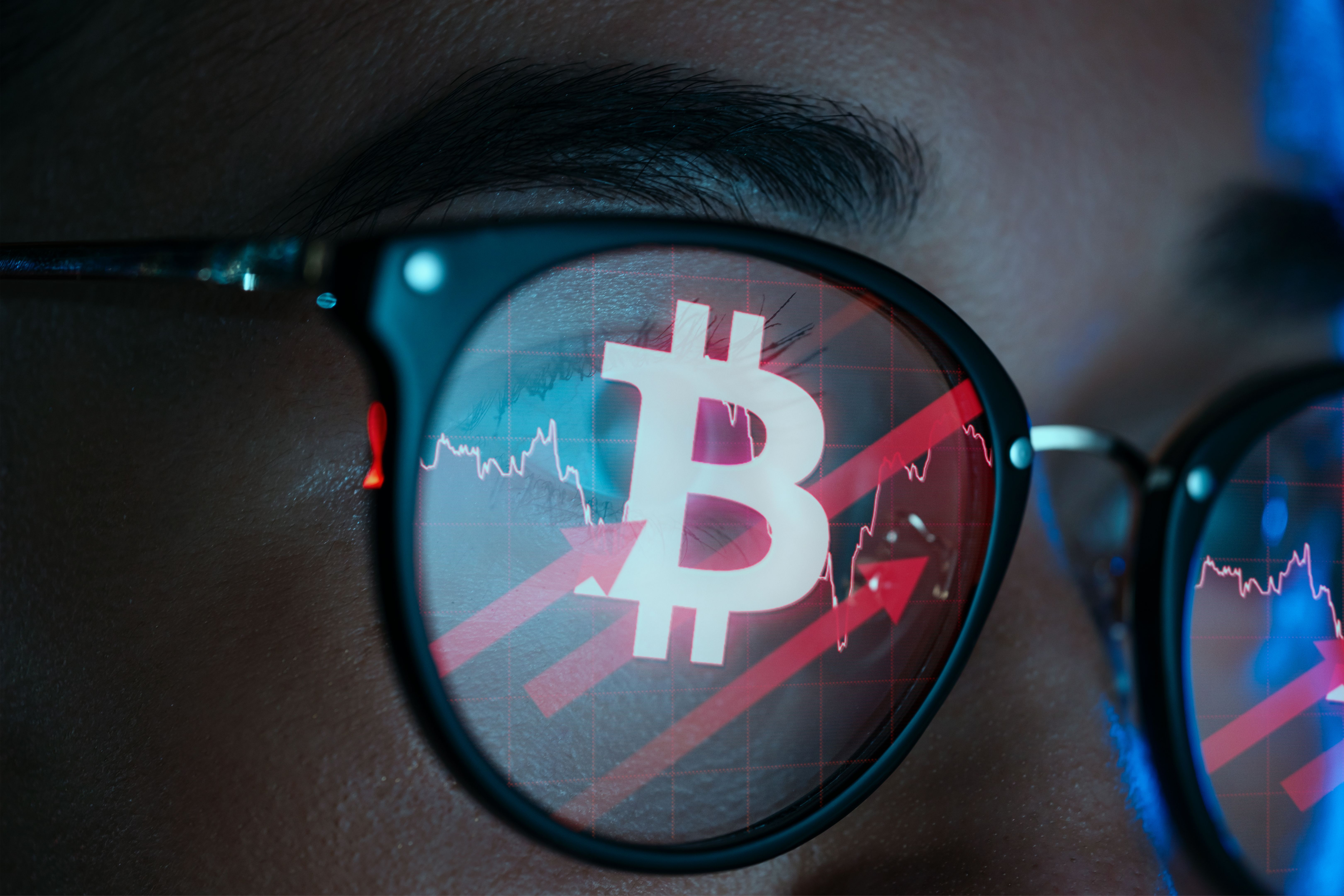 bitcoin market trends