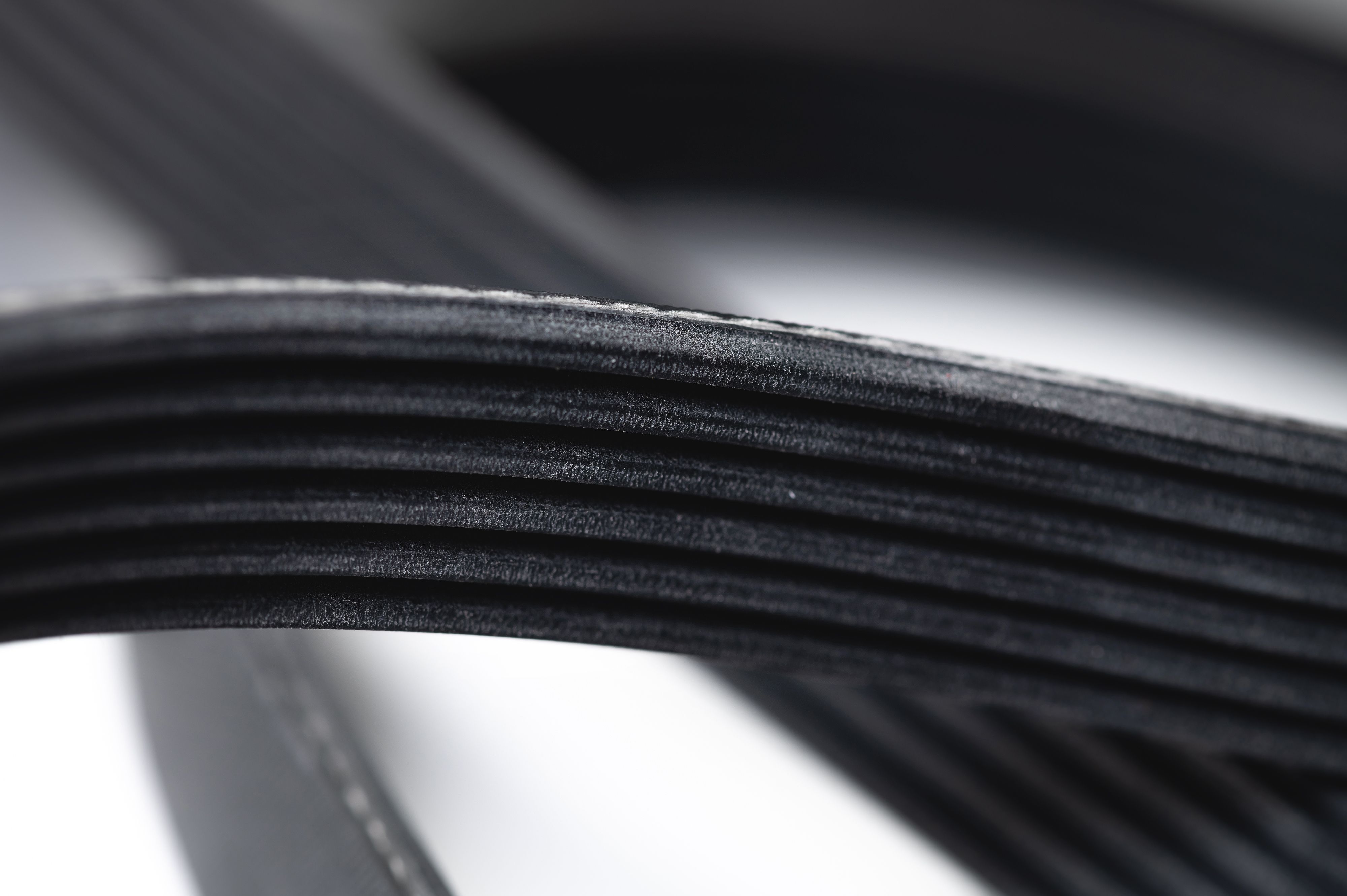 serpentine belt