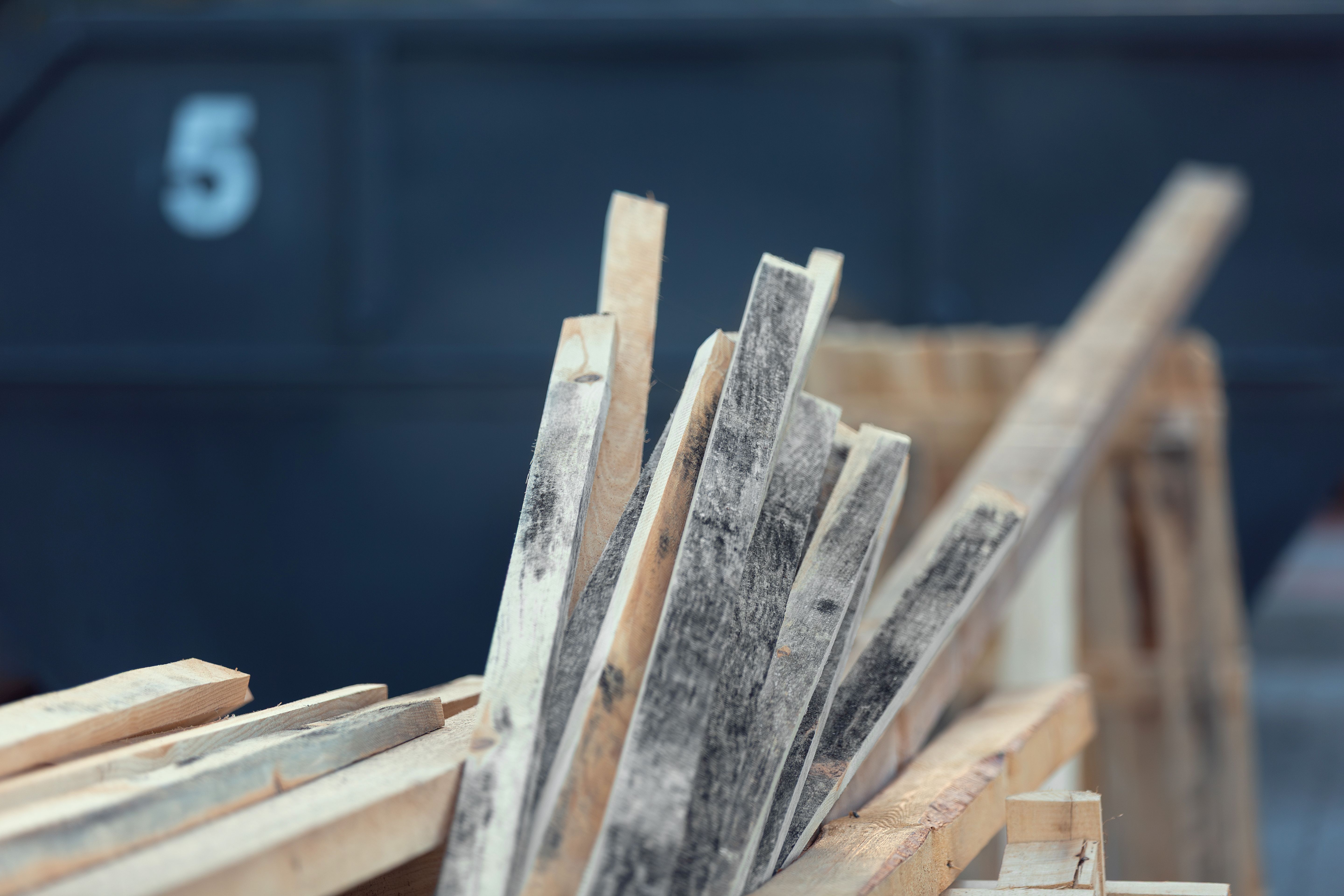 recycling renovation