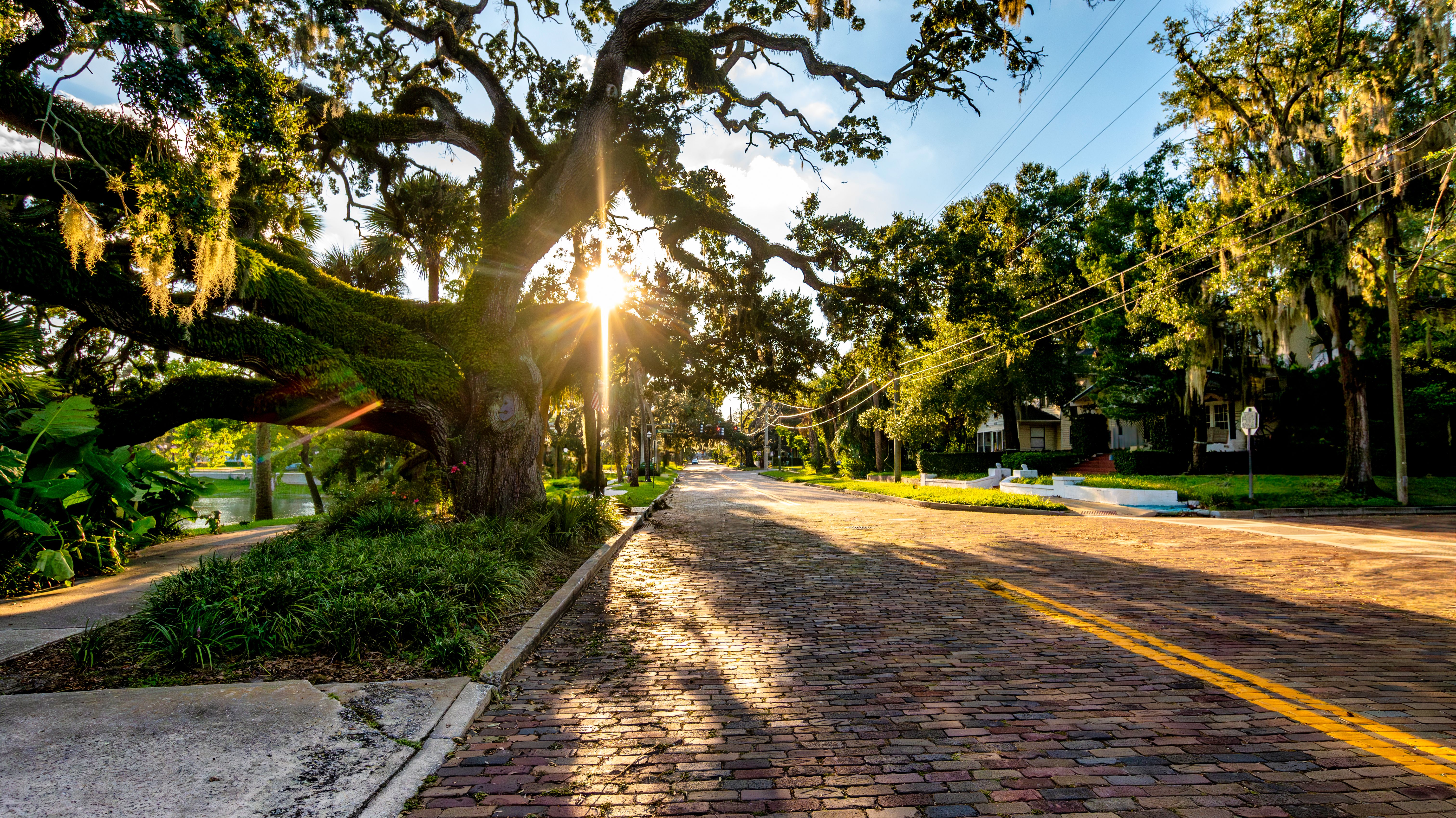 seasonal photography orlando