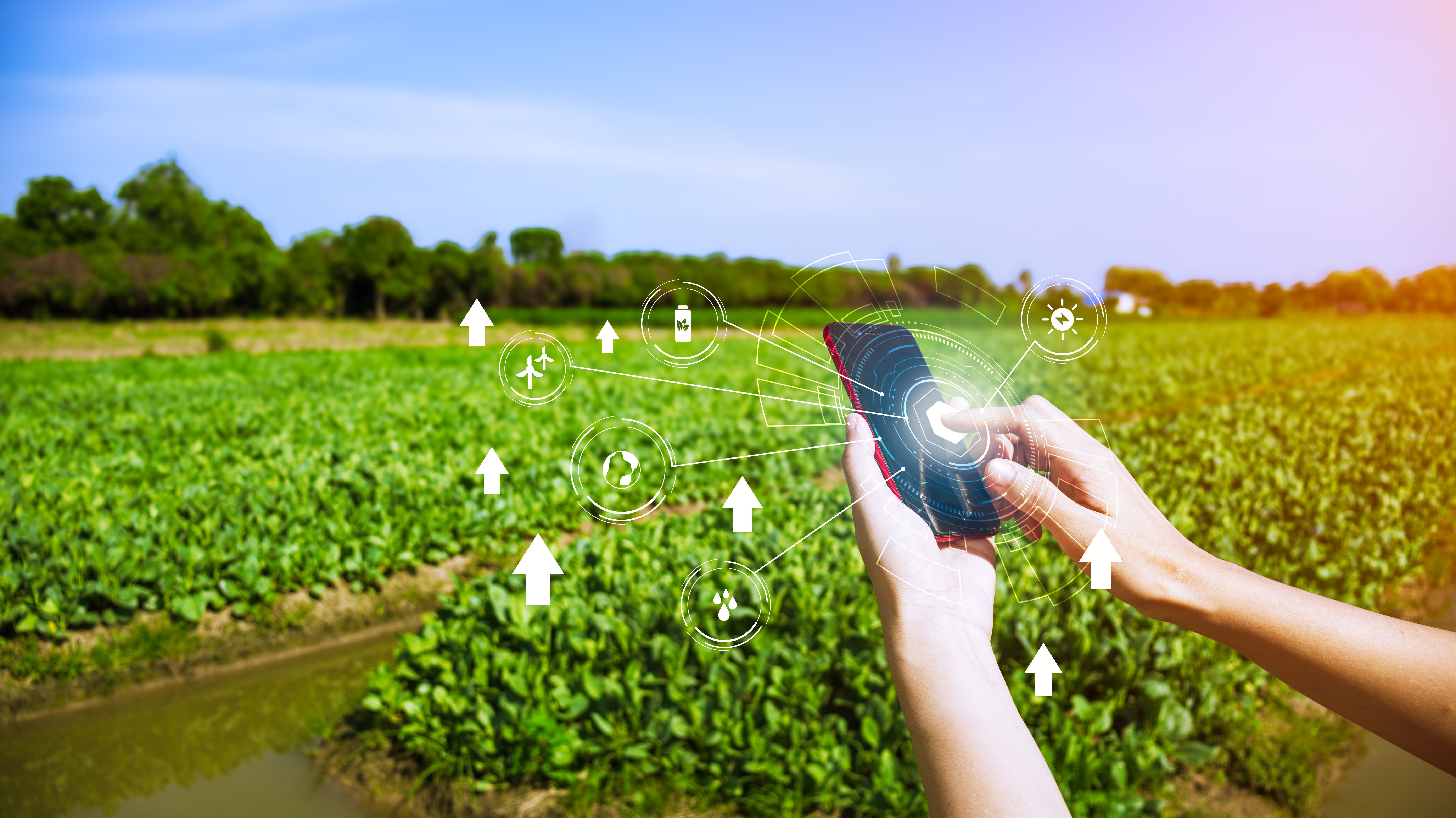 fertilizer application