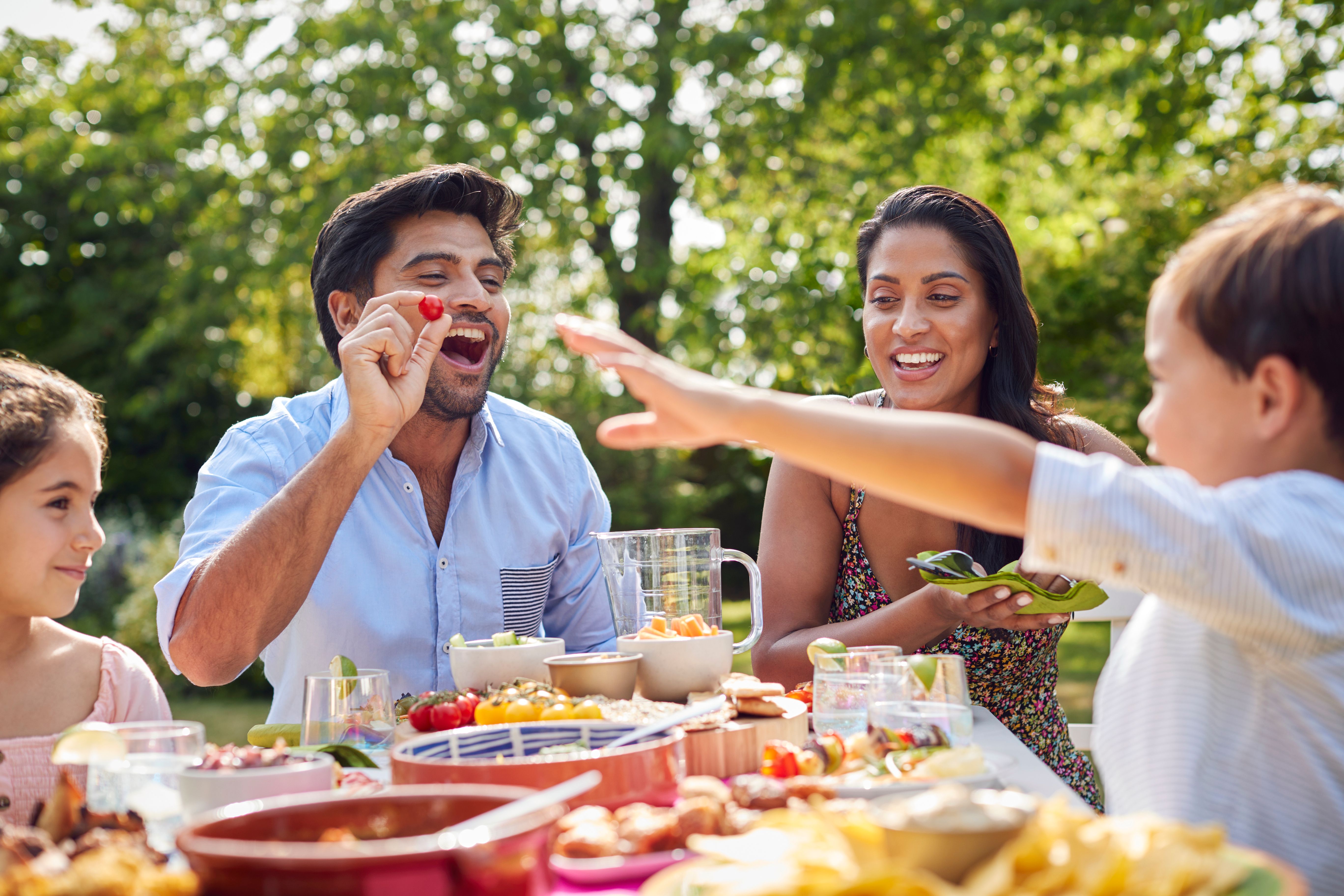 family picnic outdoors