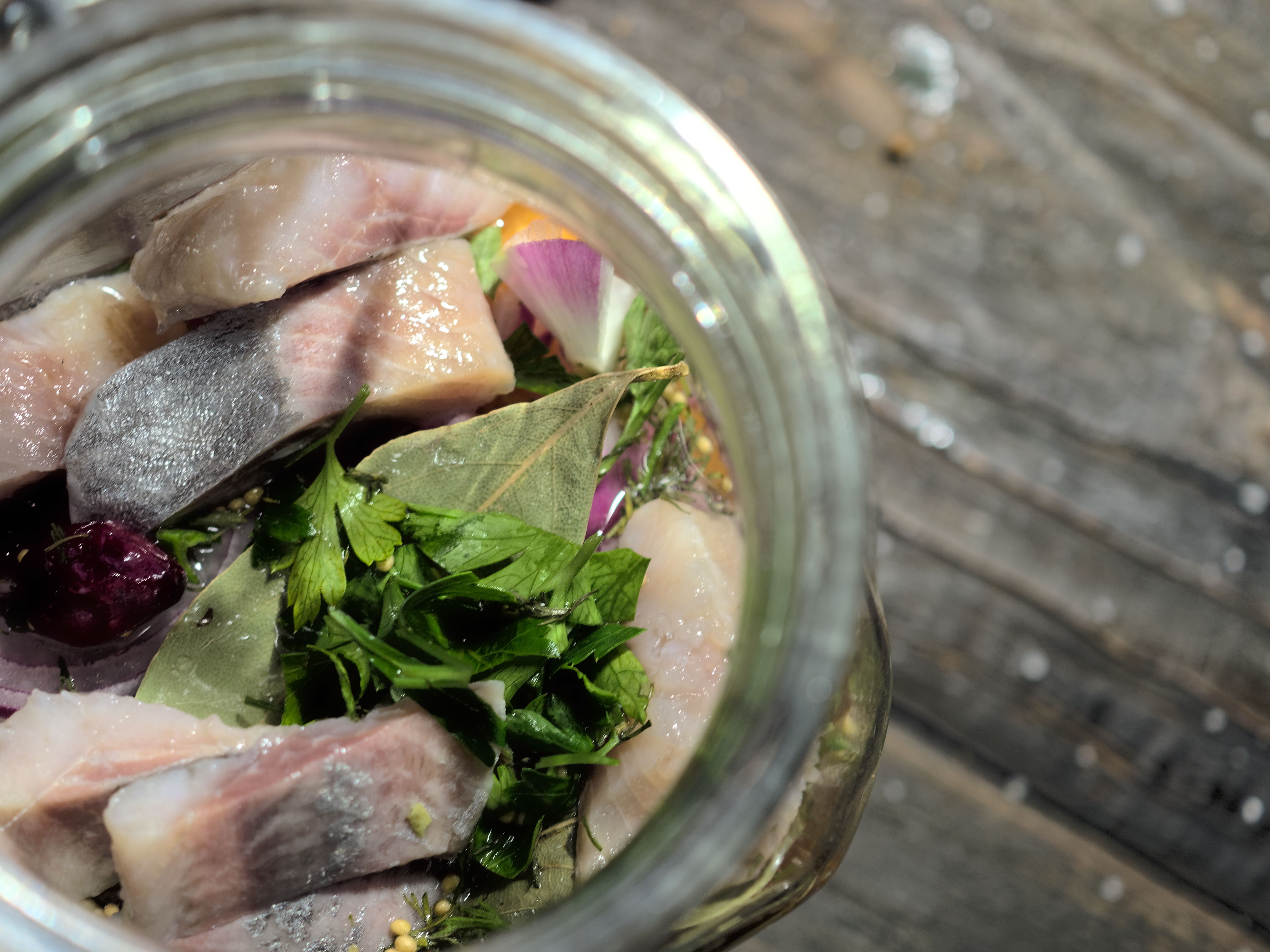 fermented herring