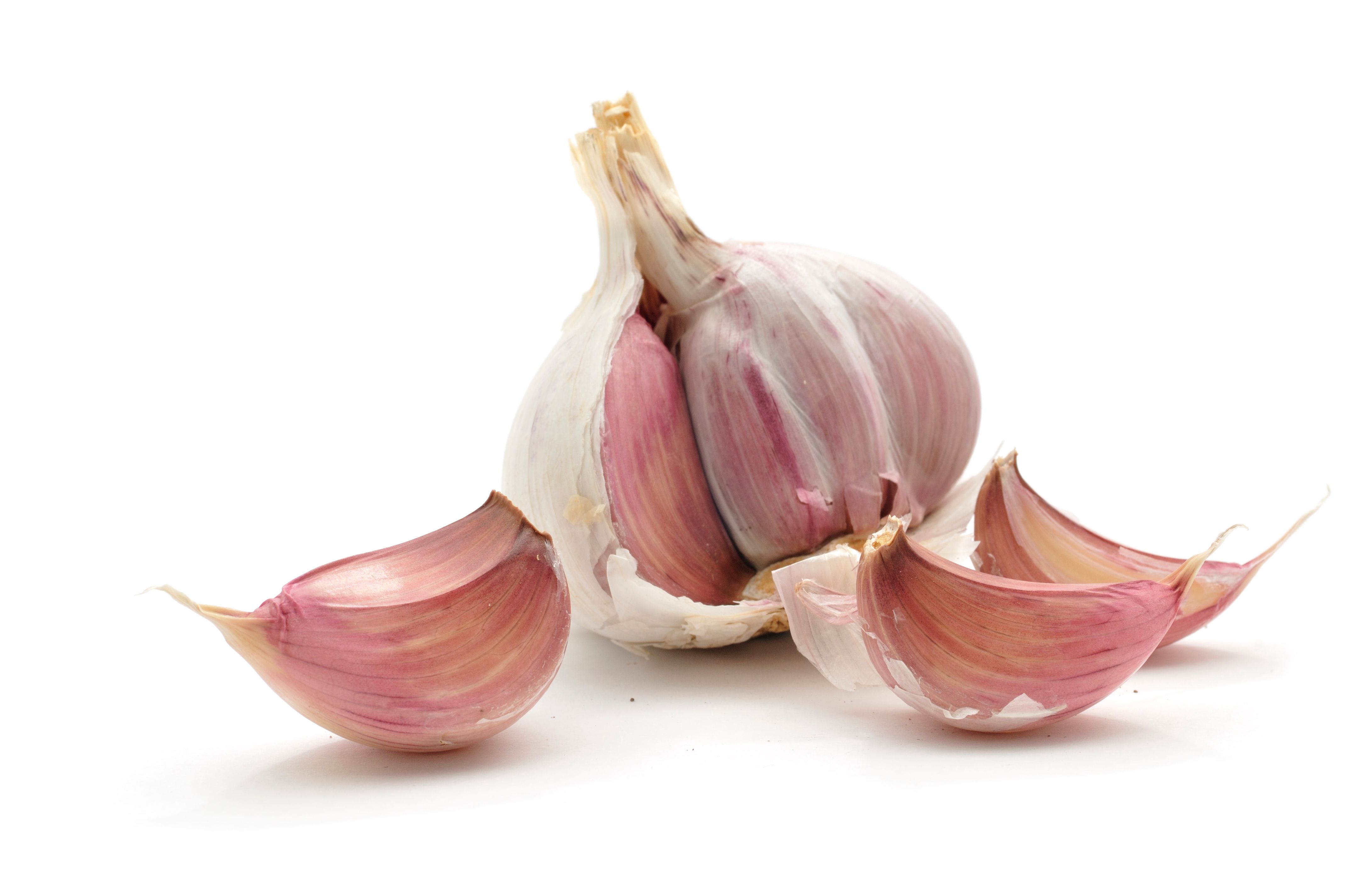 garlic cloves
