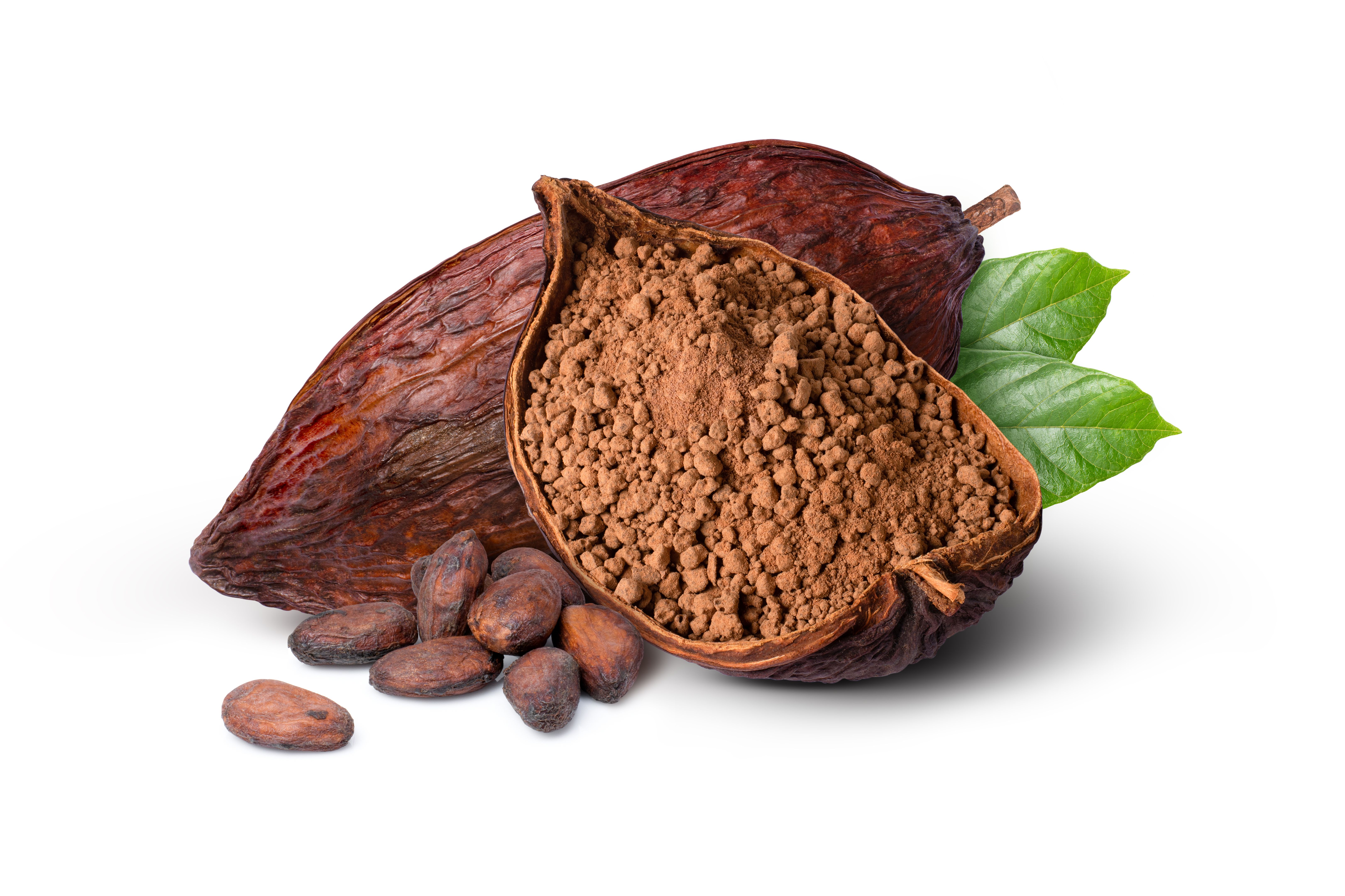 global cocoa trade