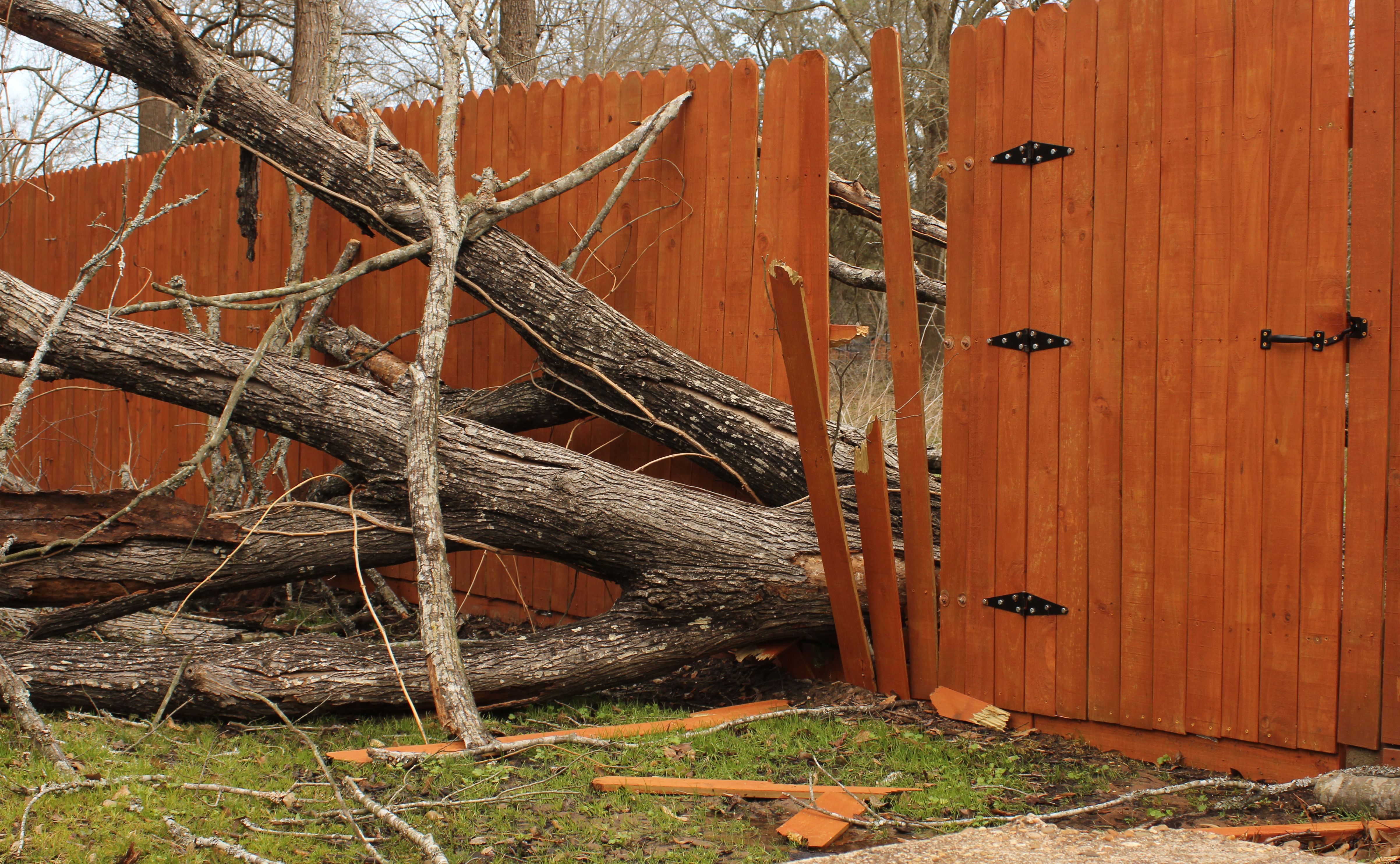 fence weather