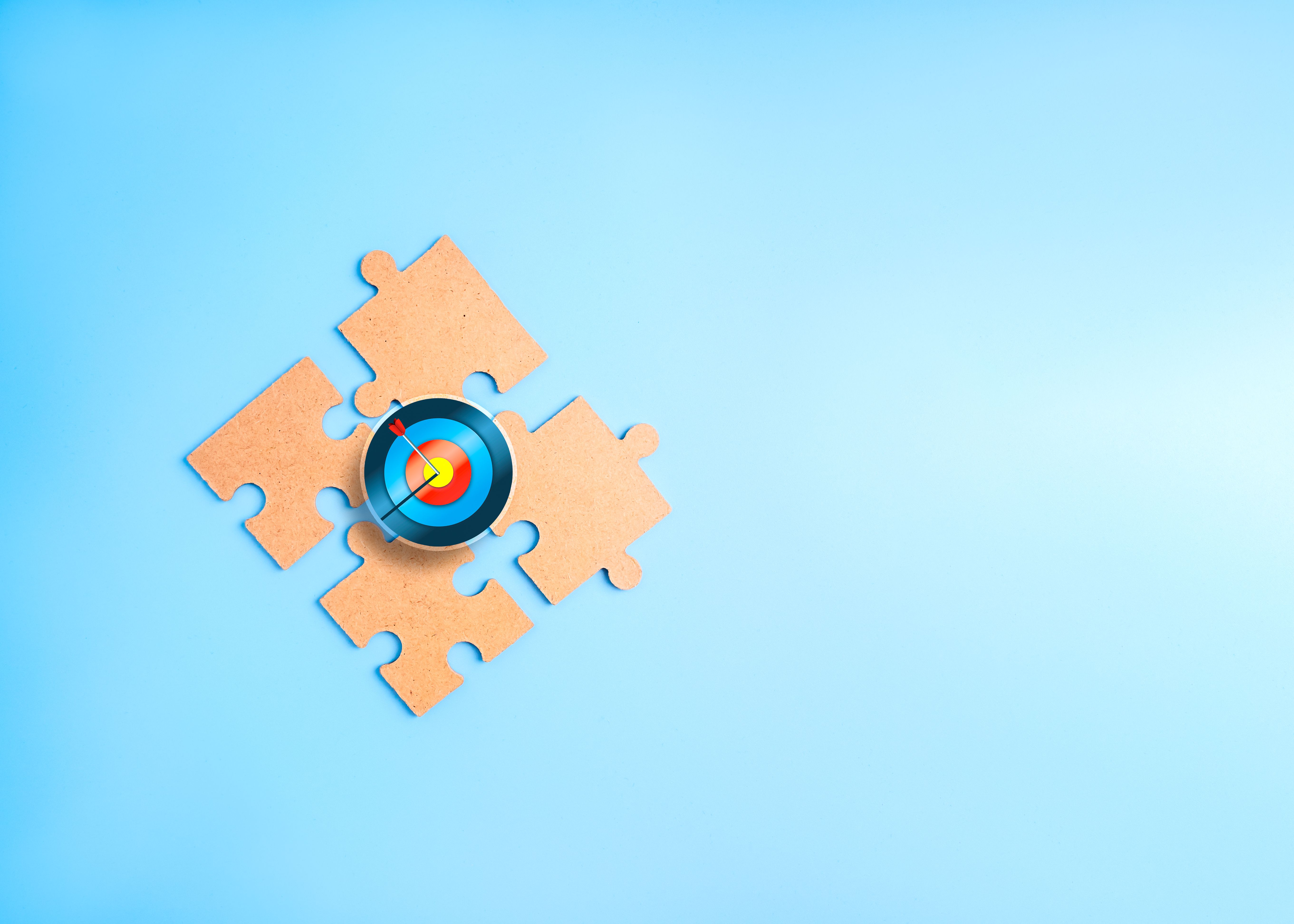 stakeholder engagement