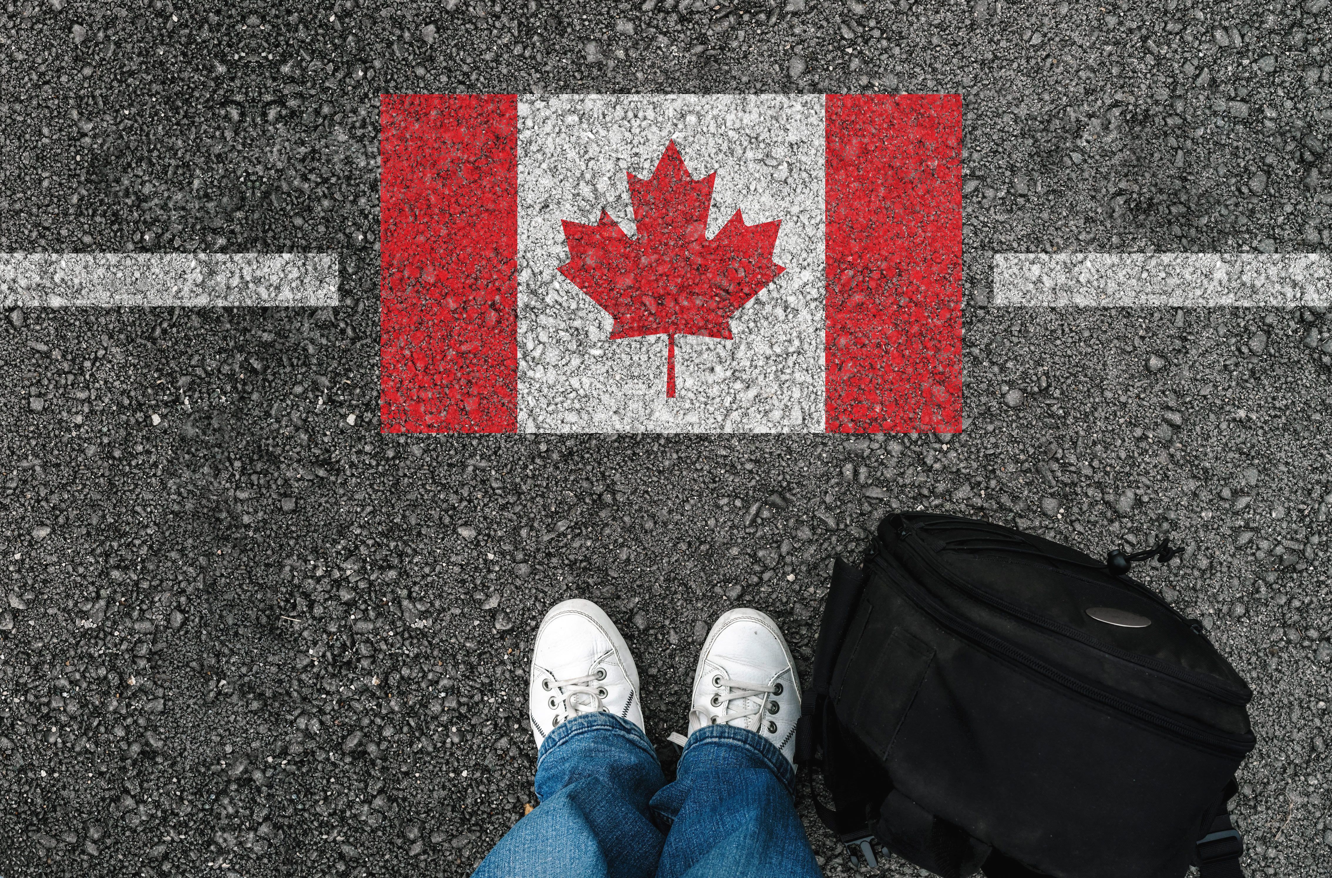 canadian immigration consultant