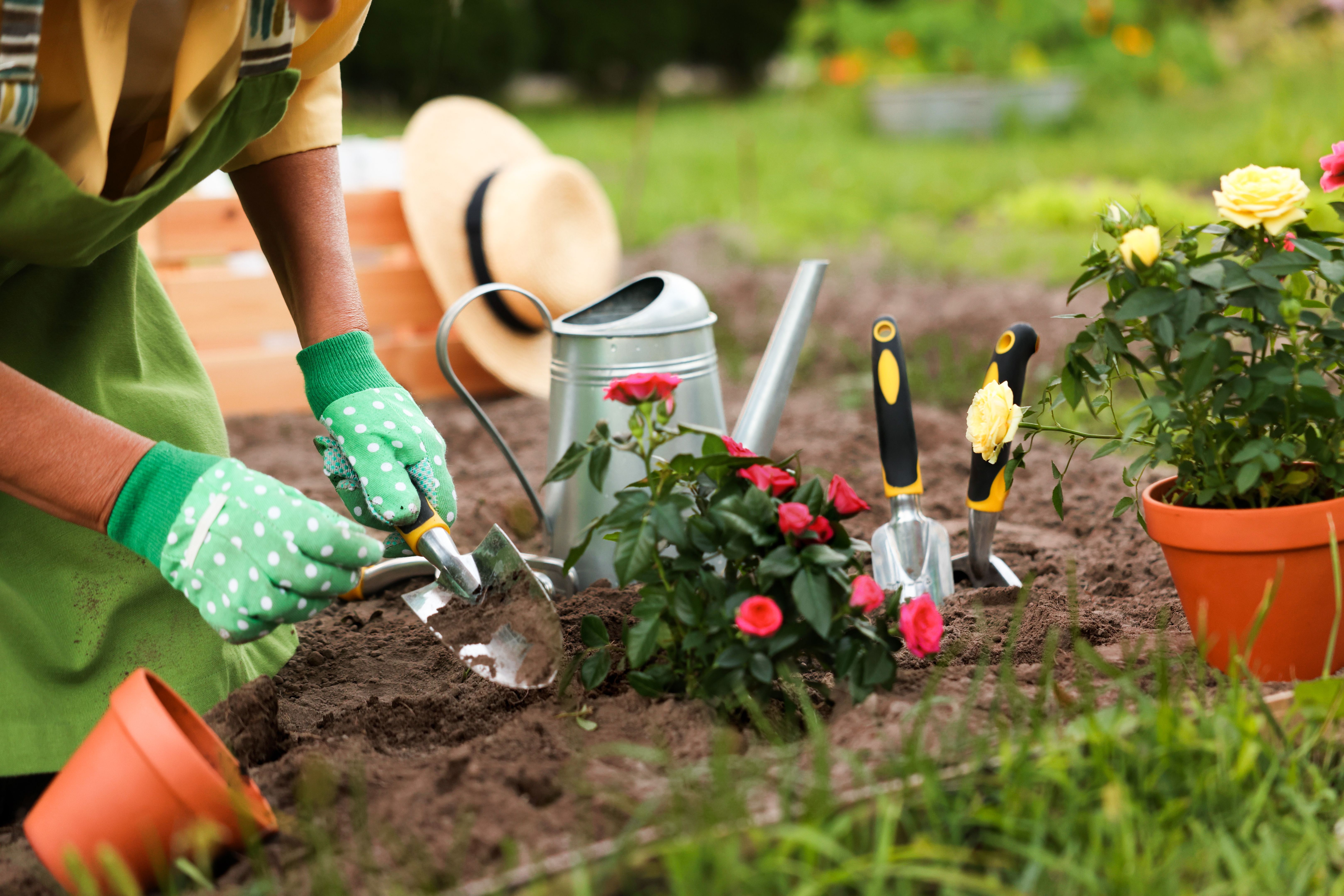 seasonal gardening tips