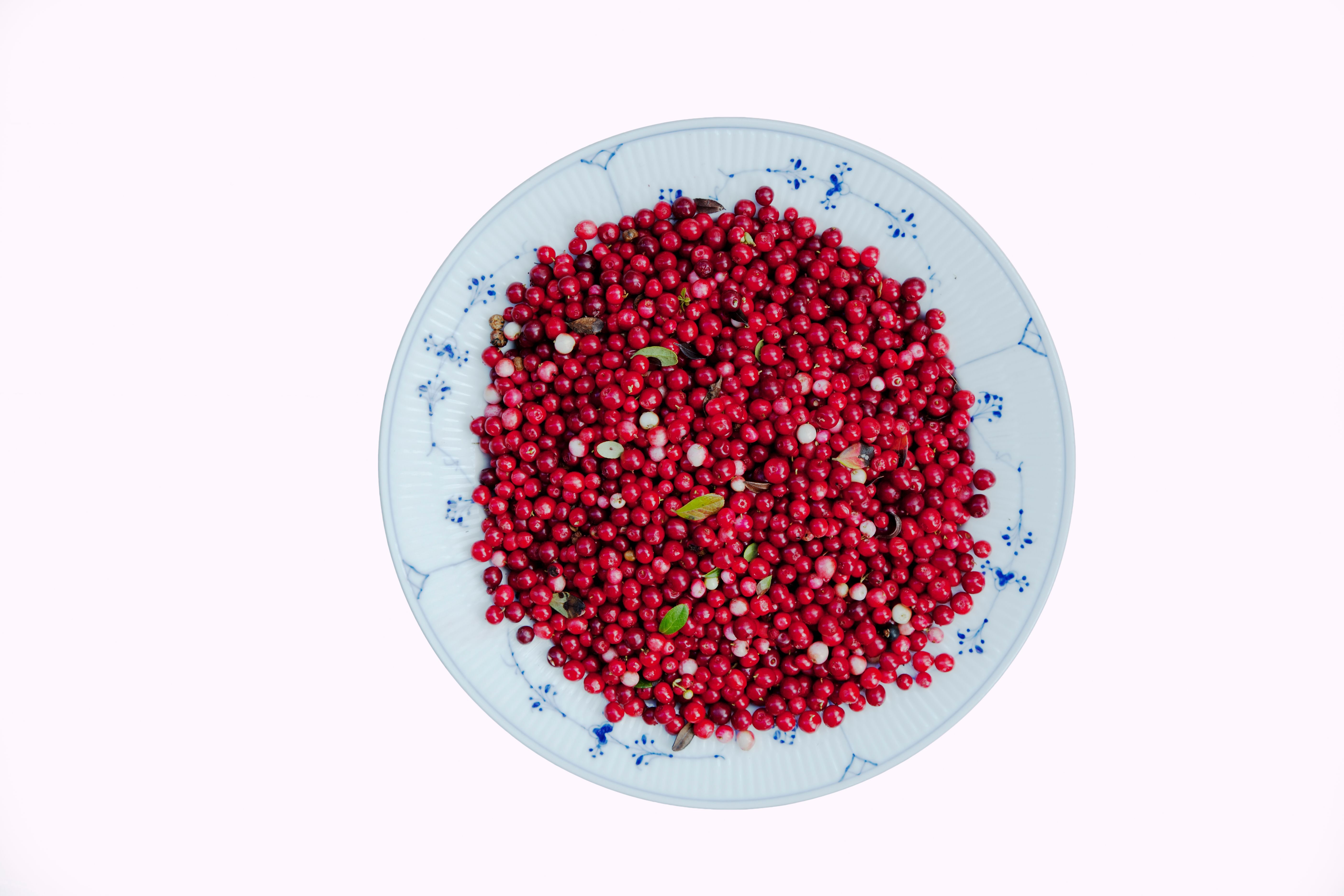 lingonberry bowl