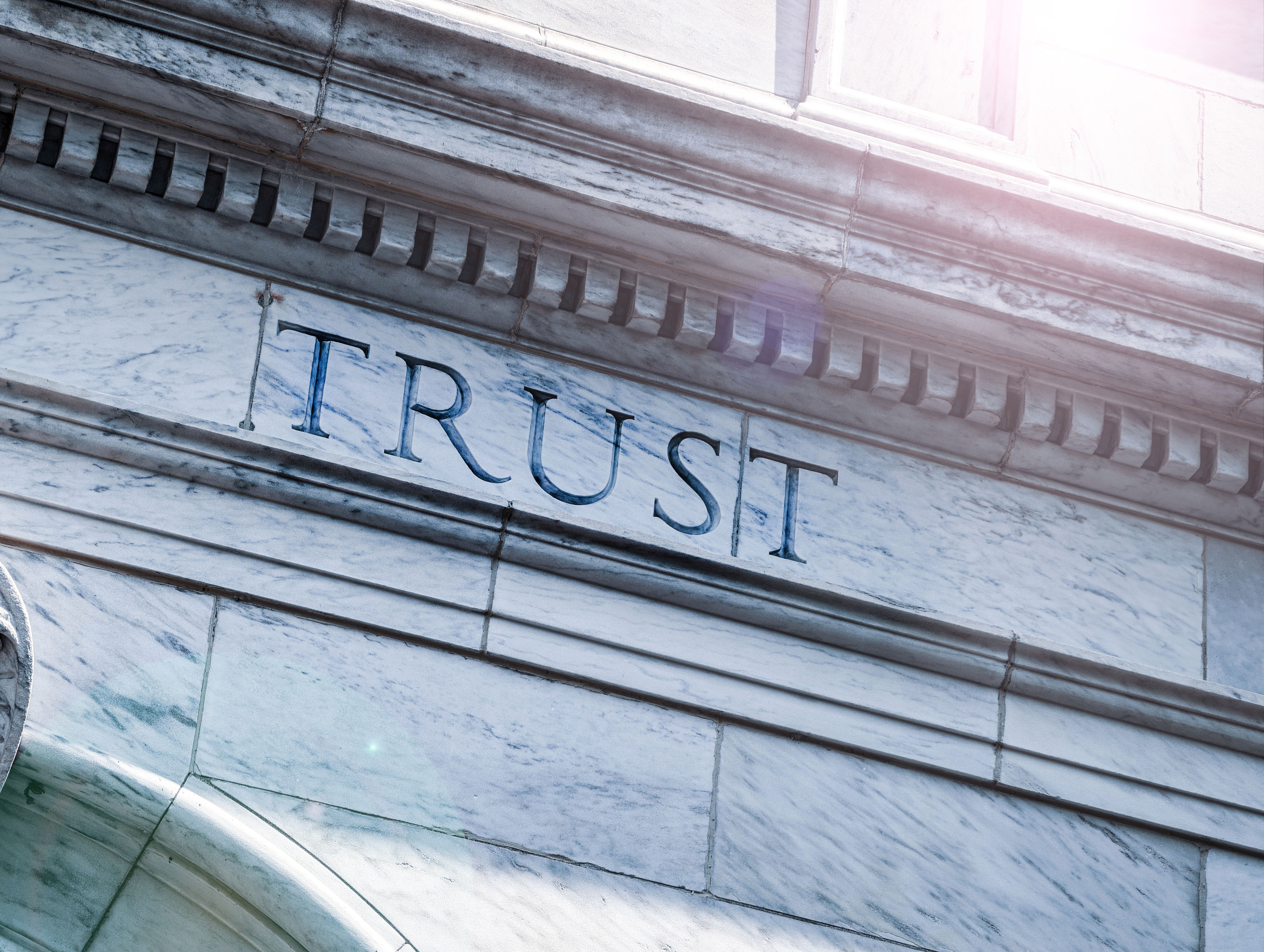 trust building photography