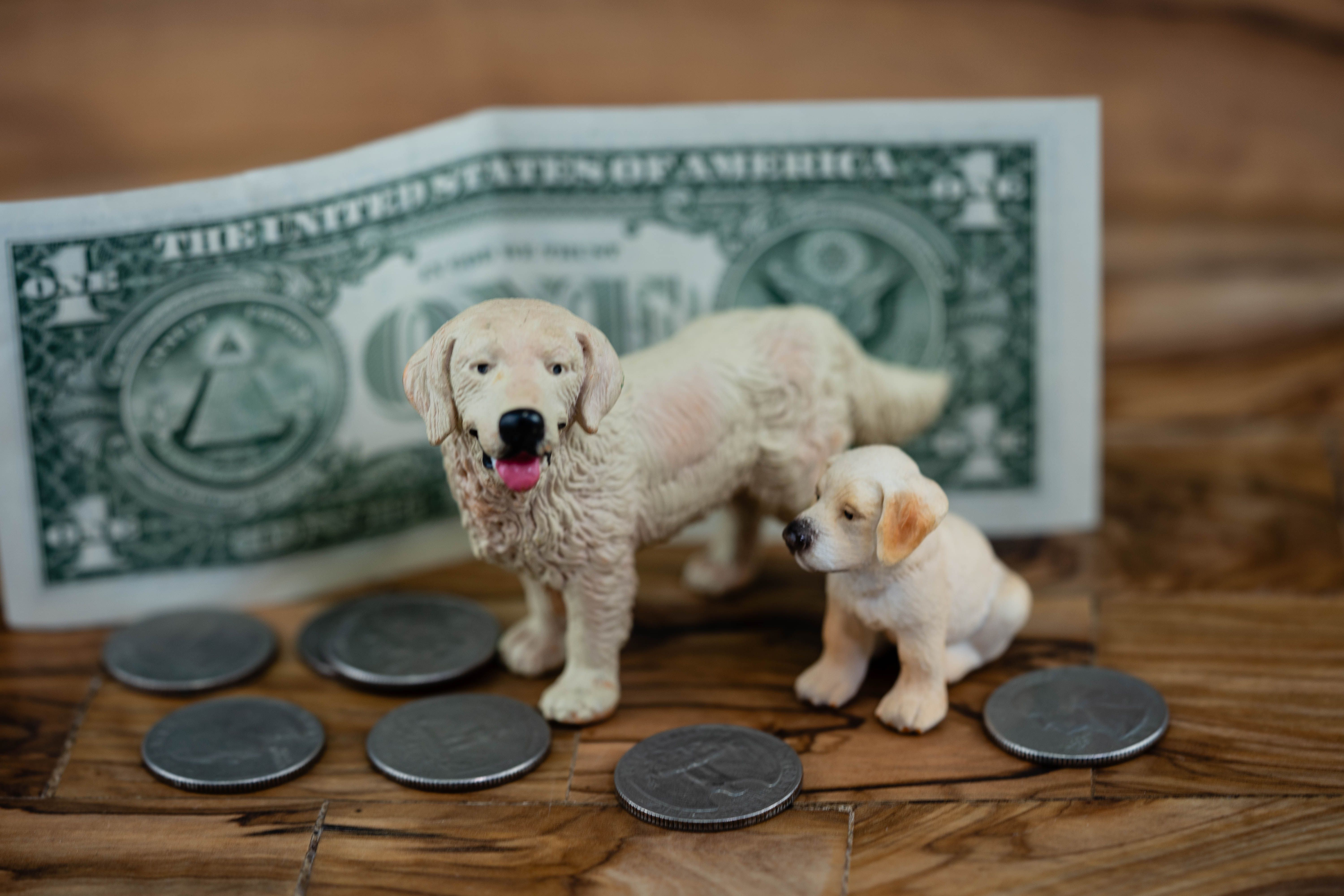 pet costs