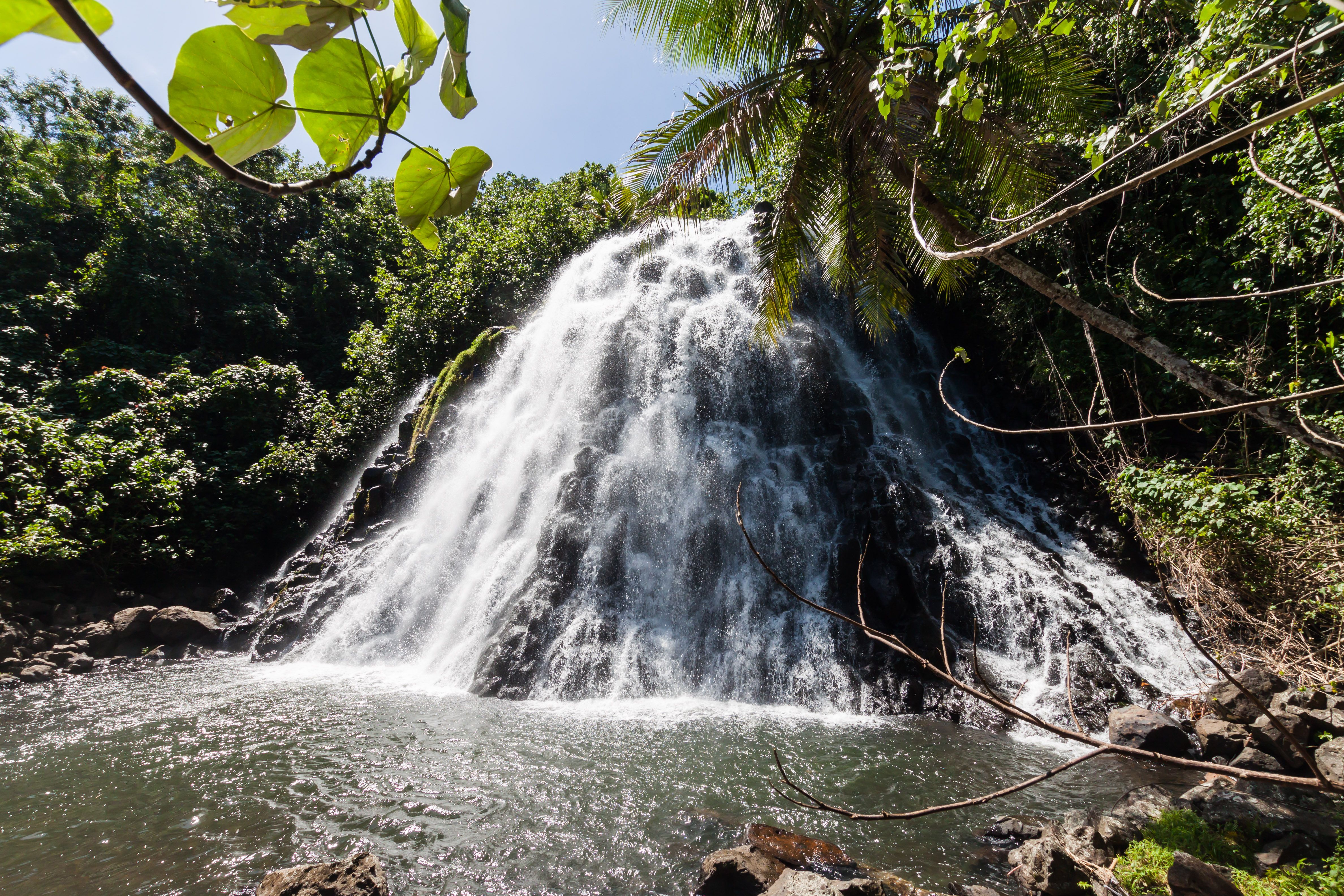 Kepirohi Waterfall in Jungle with Palm trees around, near Nan Madol, Pohnpei island, Federated states of Micronesia, Oceania