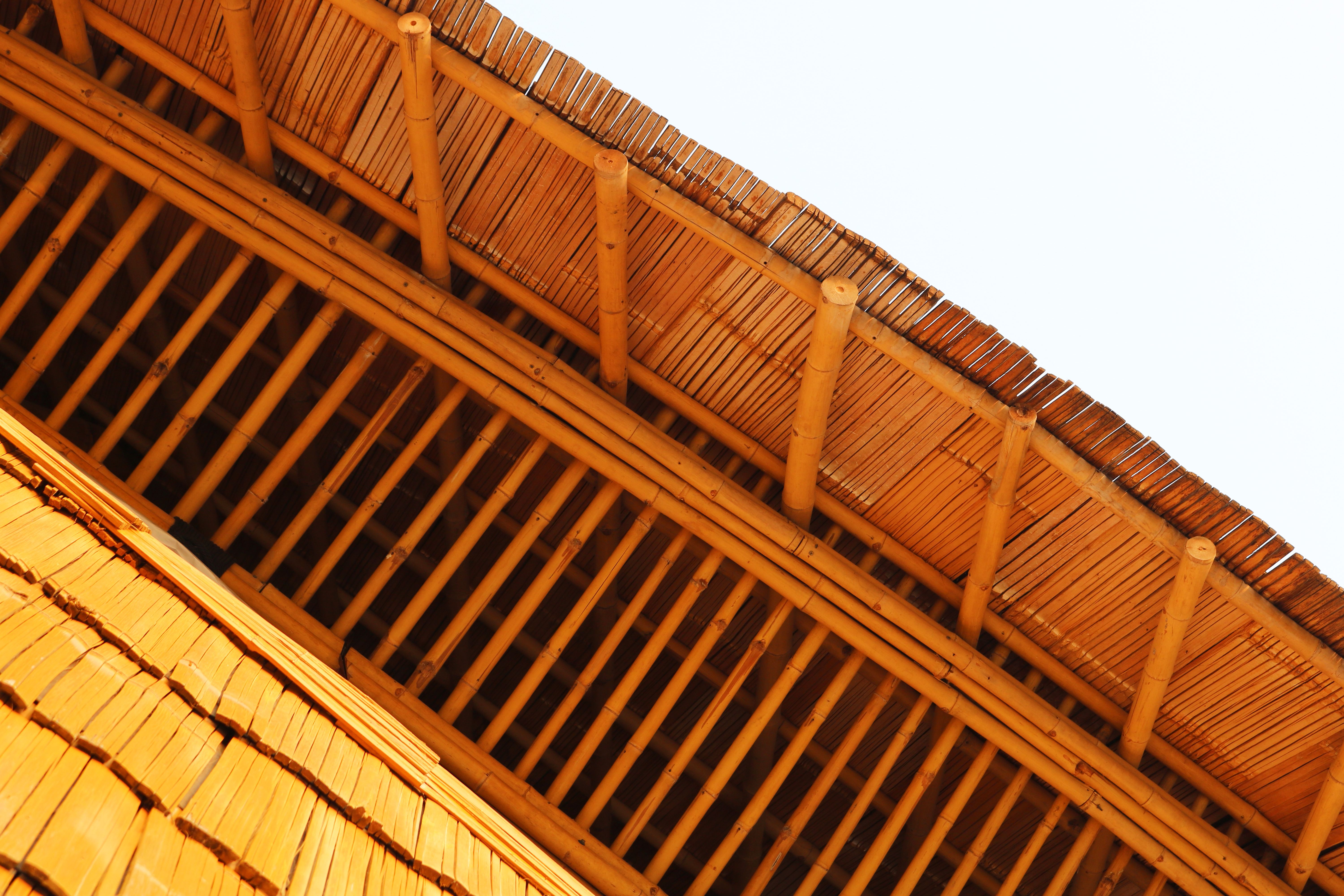 bamboo truss