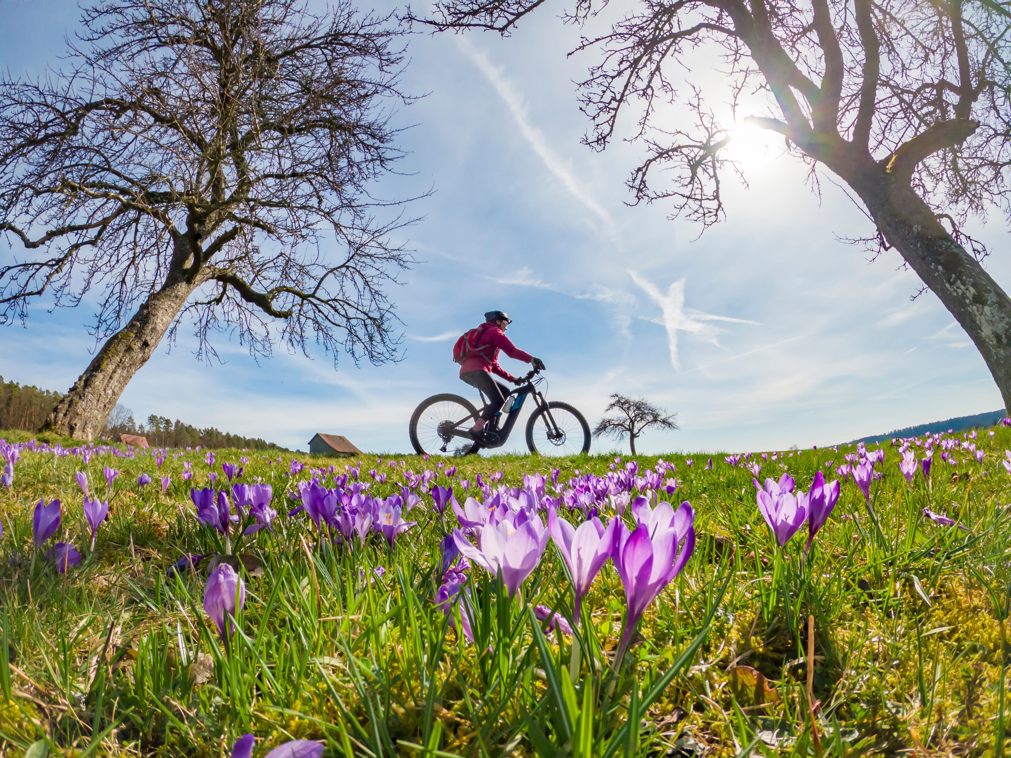 spring cycling
