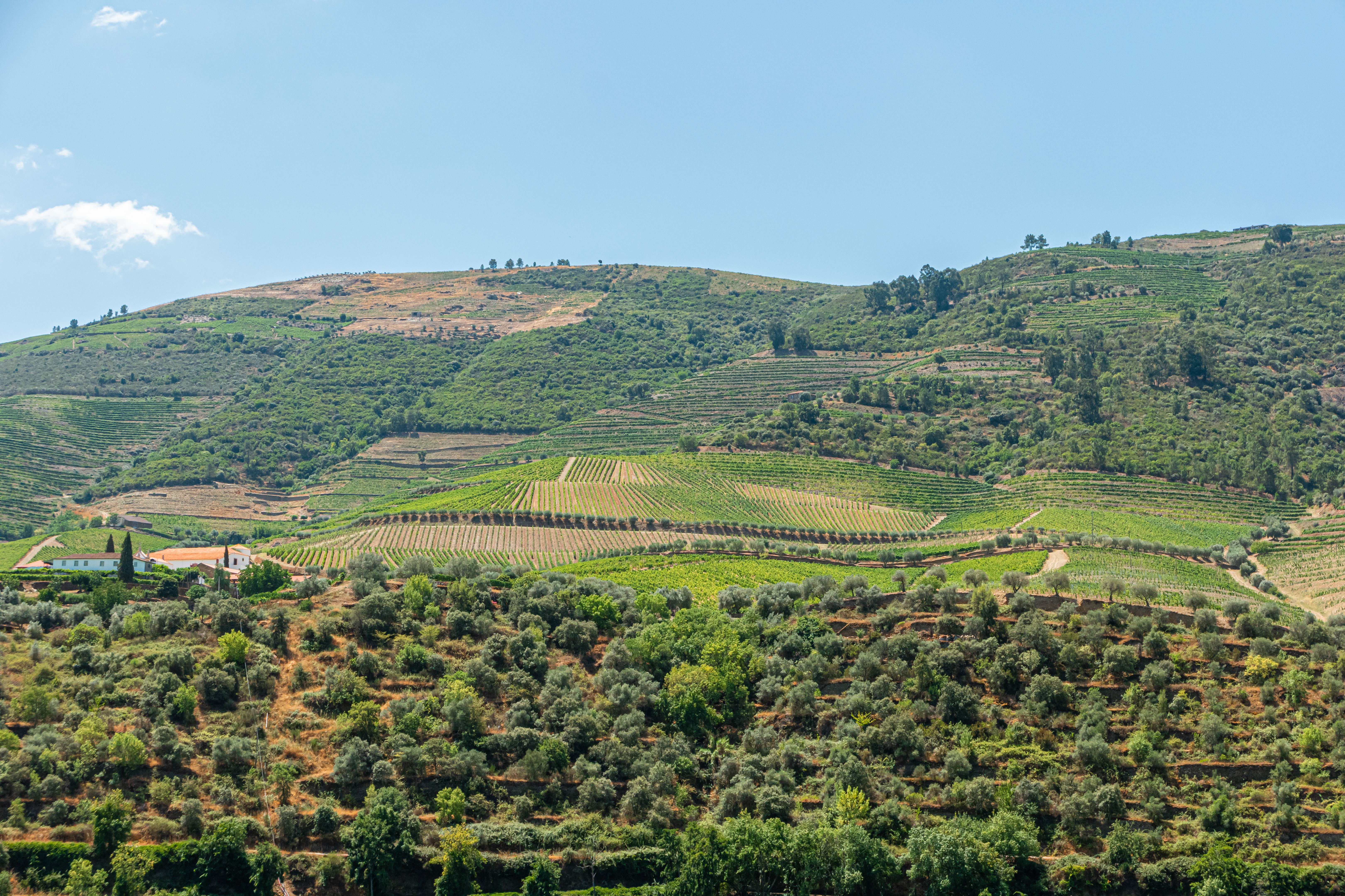 northern portugal landscape