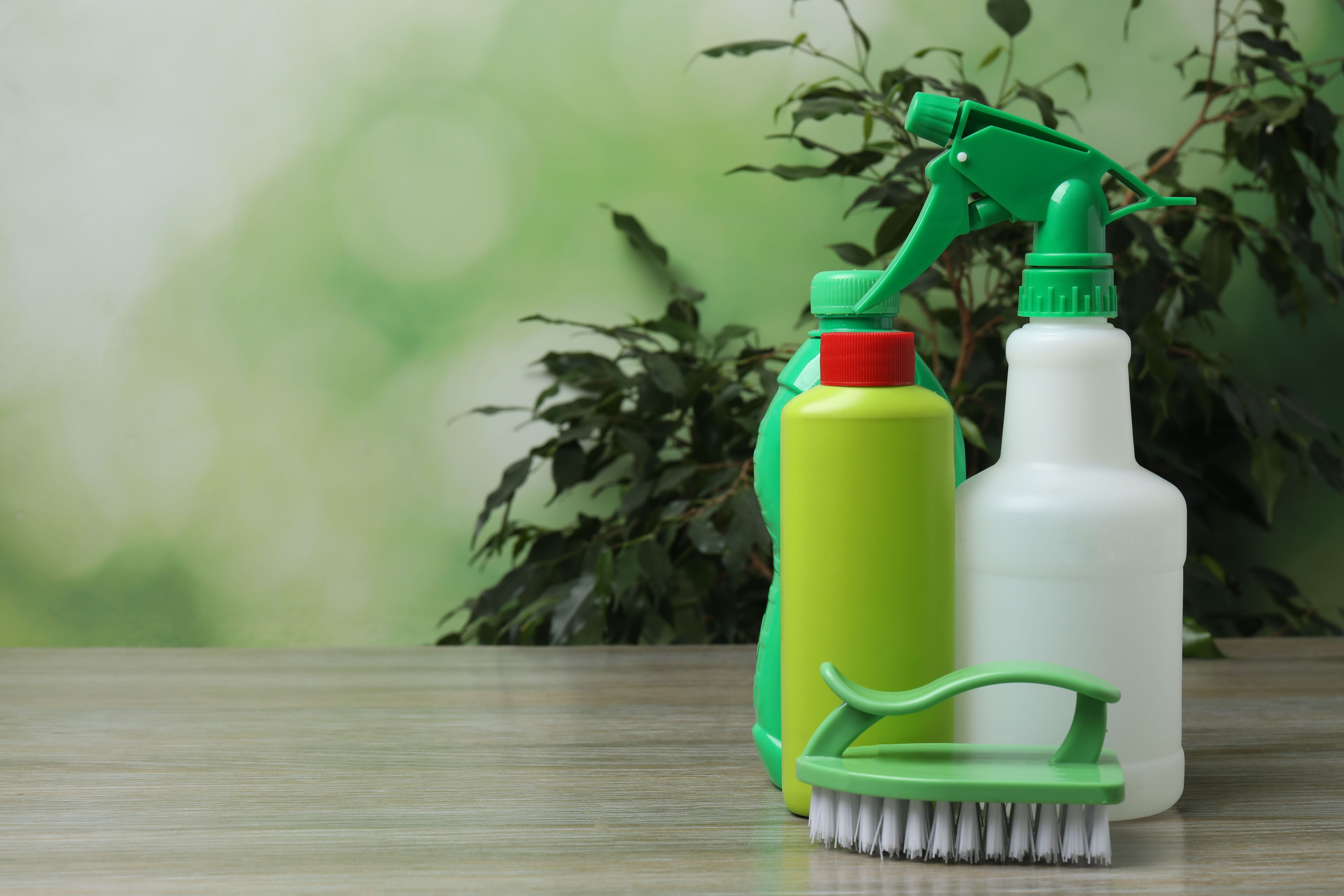 green cleaning tools