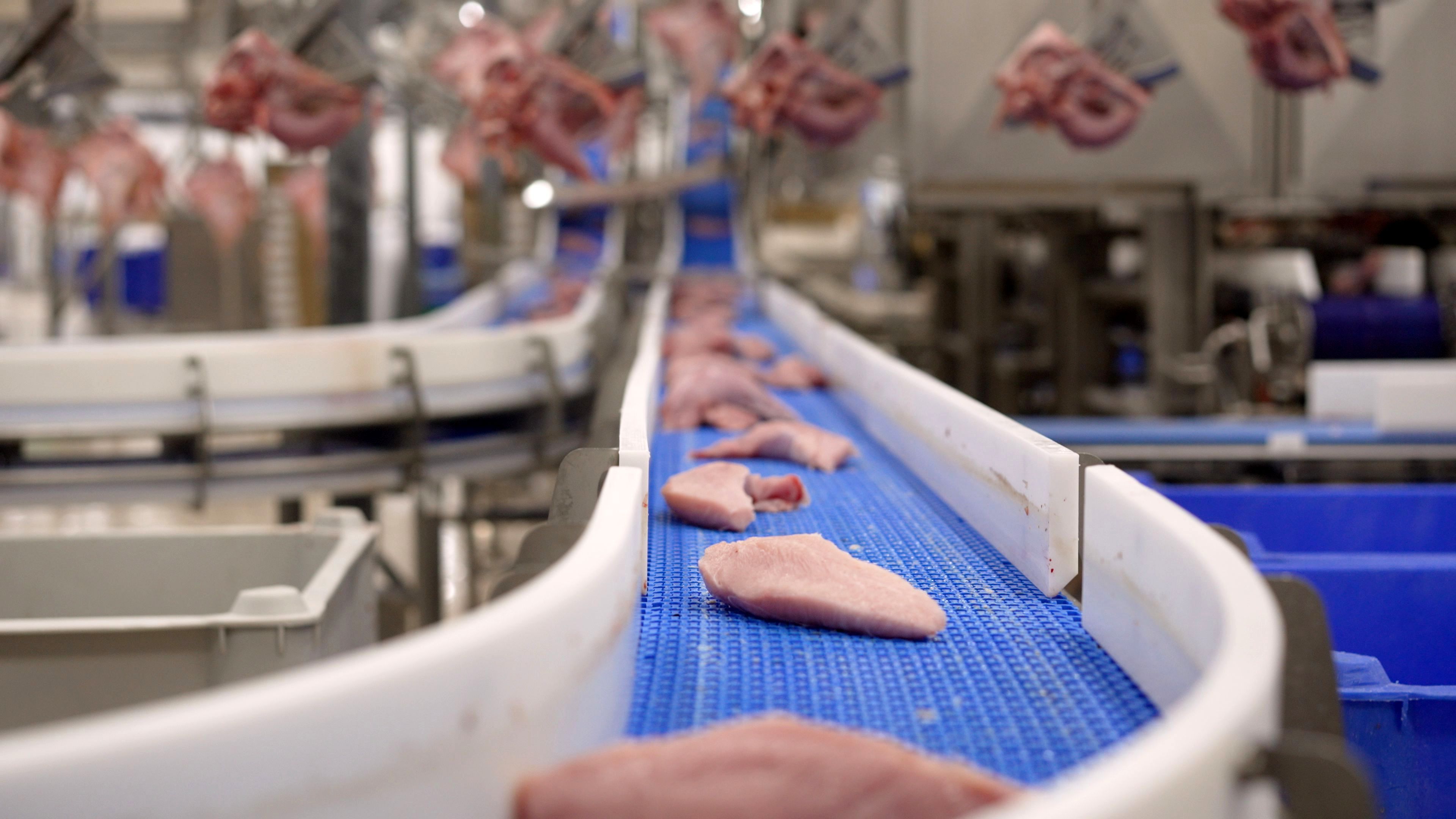 food processing equipment