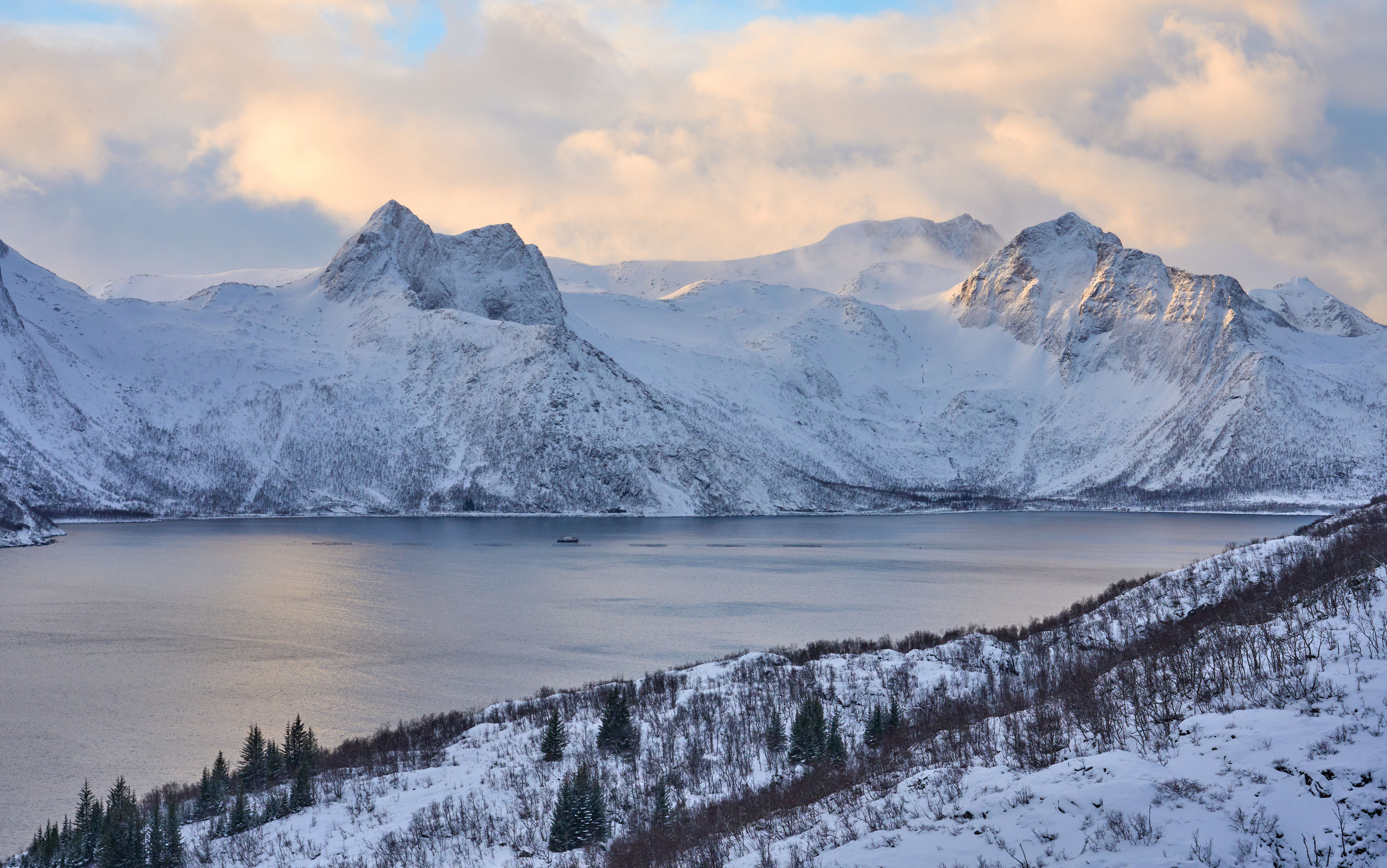 winter landscape