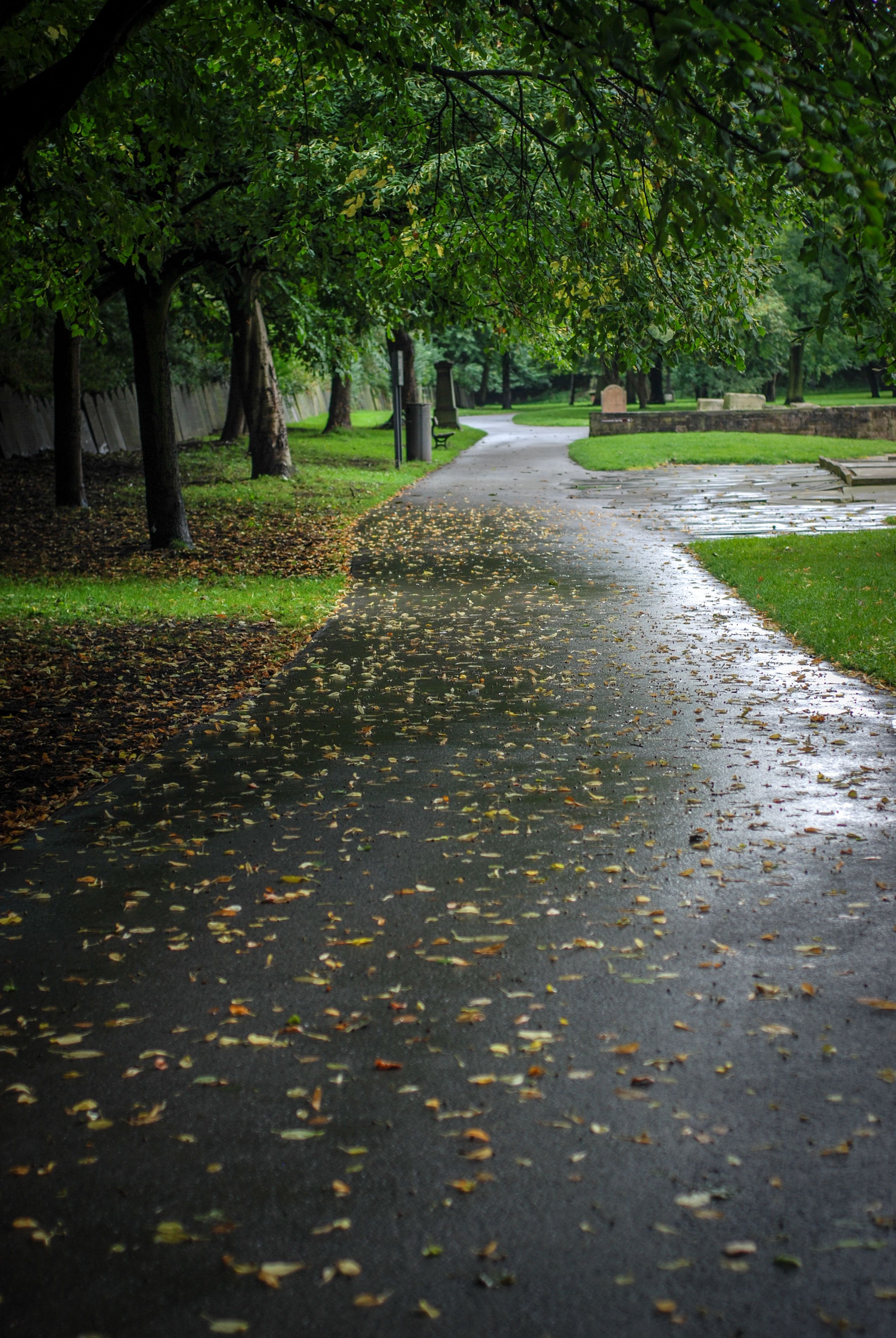 autumn leaves liverpool