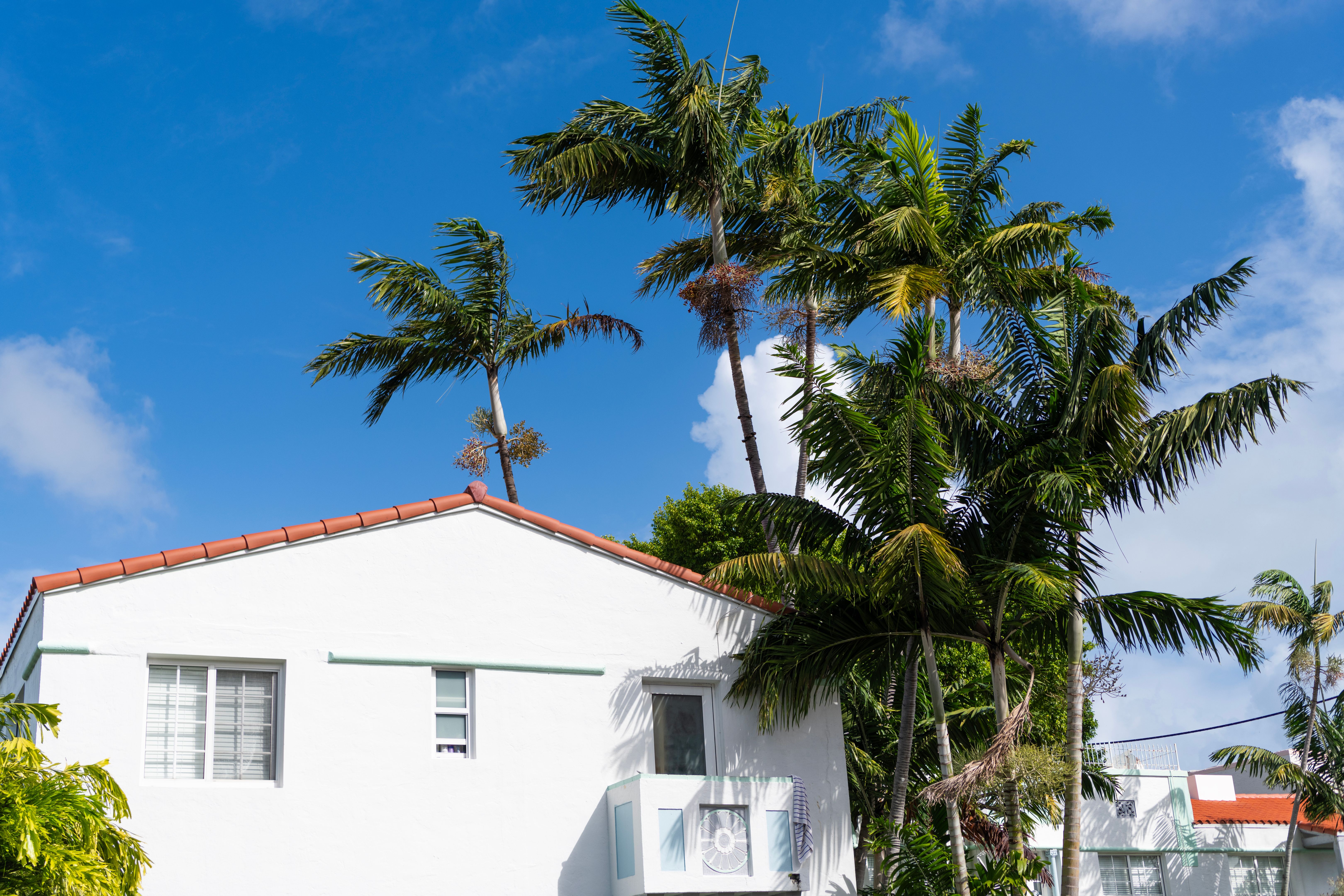 ServiceWiz Miami Handyman photo 7