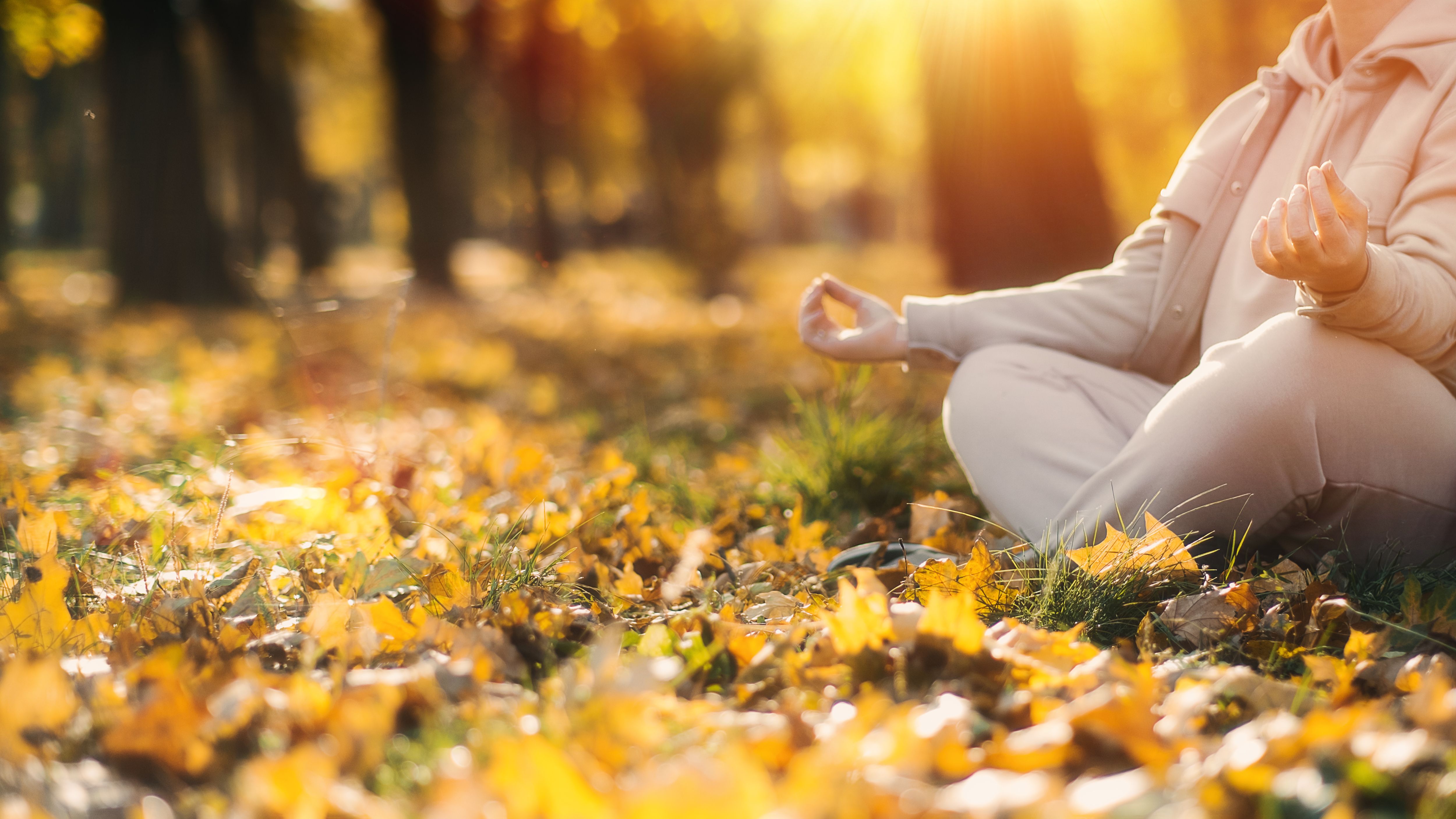 autumn yoga india