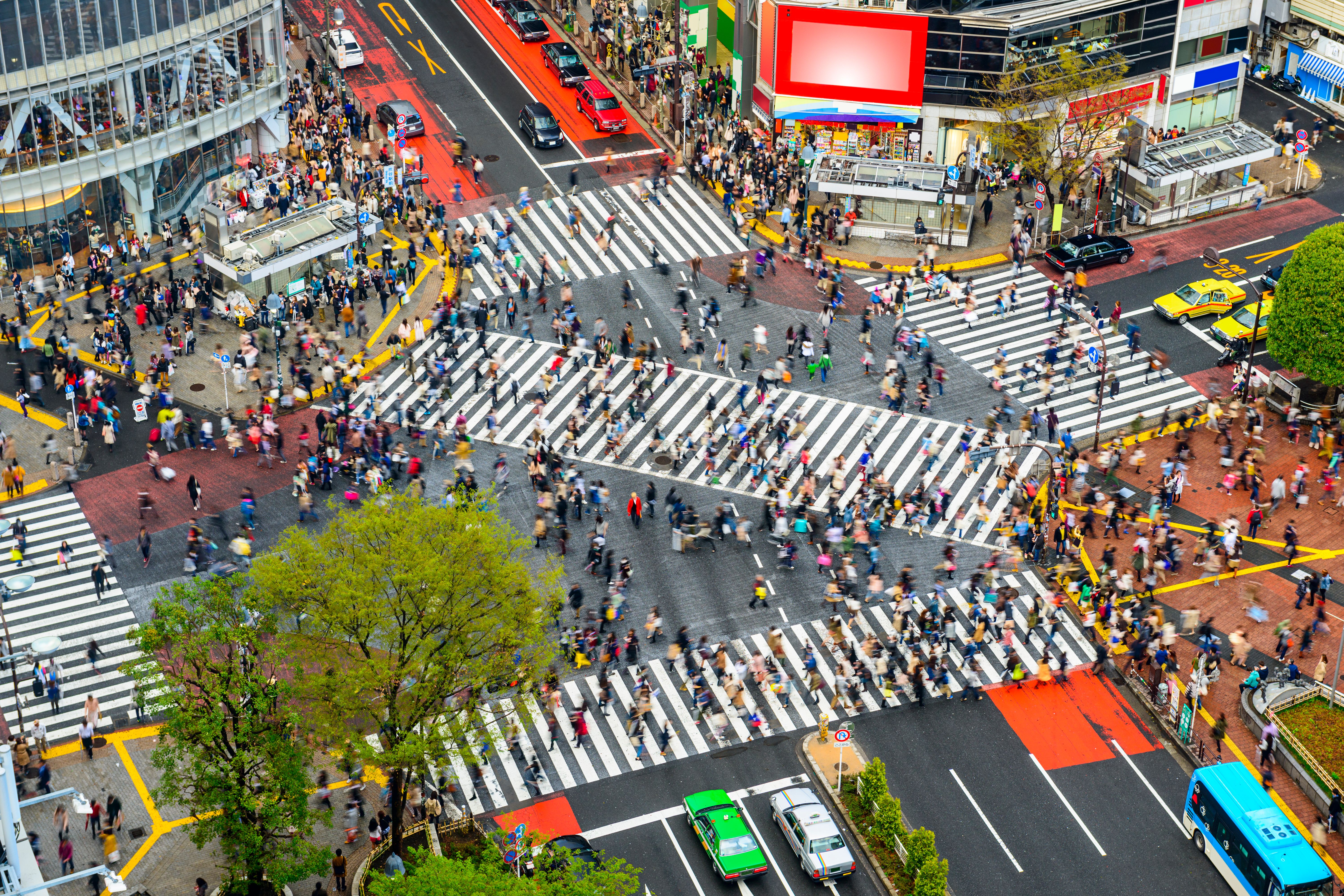shibuya crossing