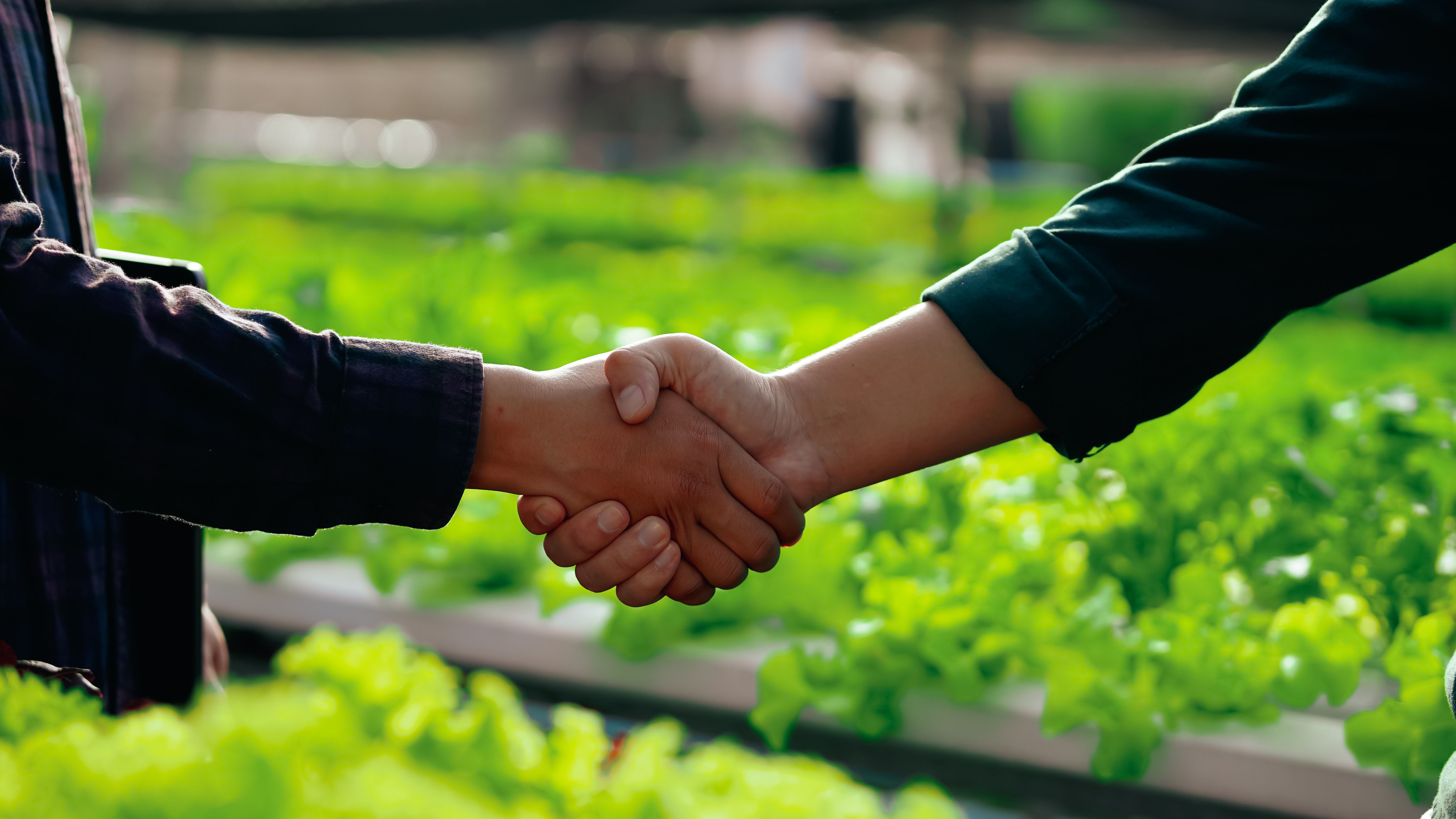 local economy support