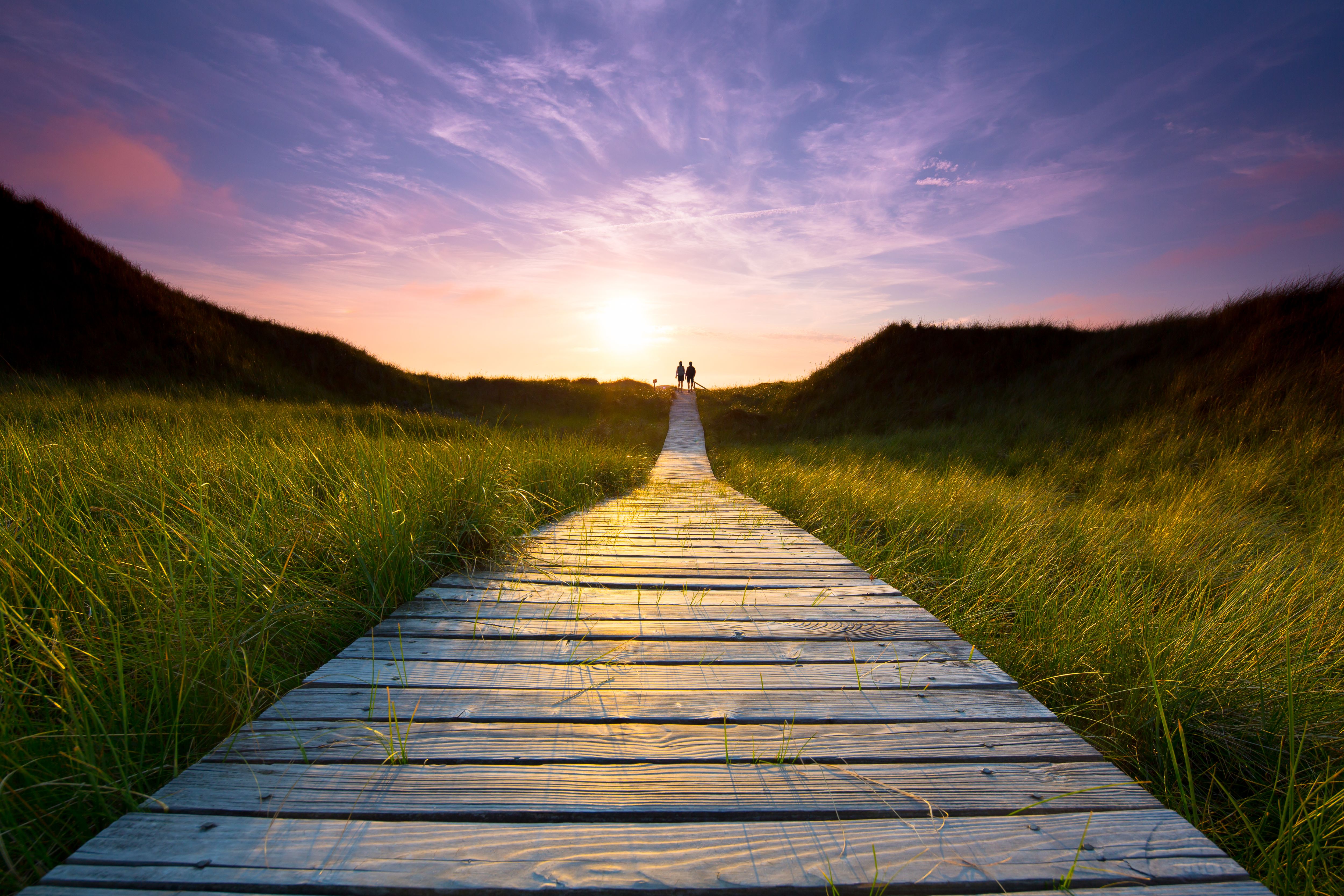wooden path through the dunes