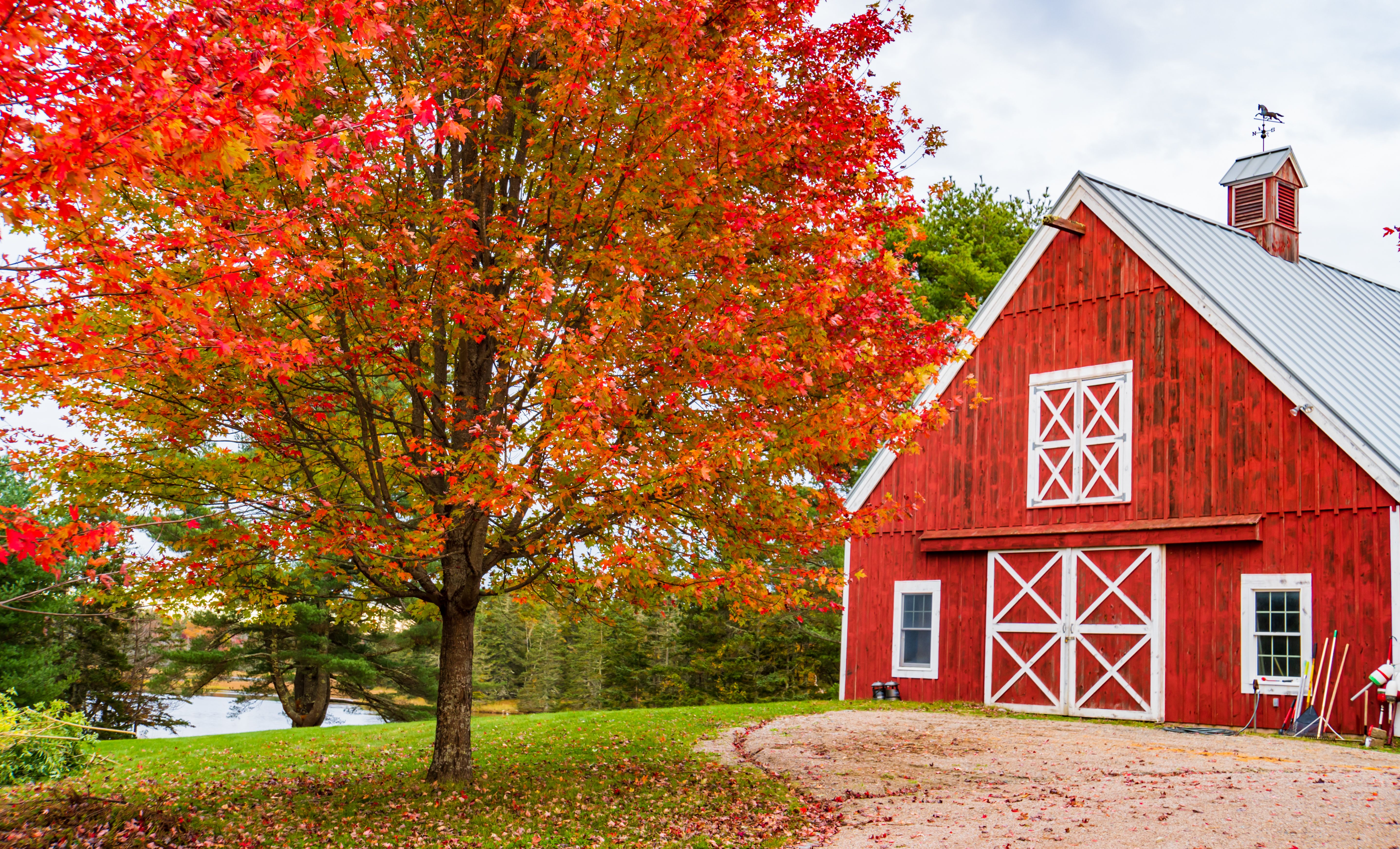 red barn autumn