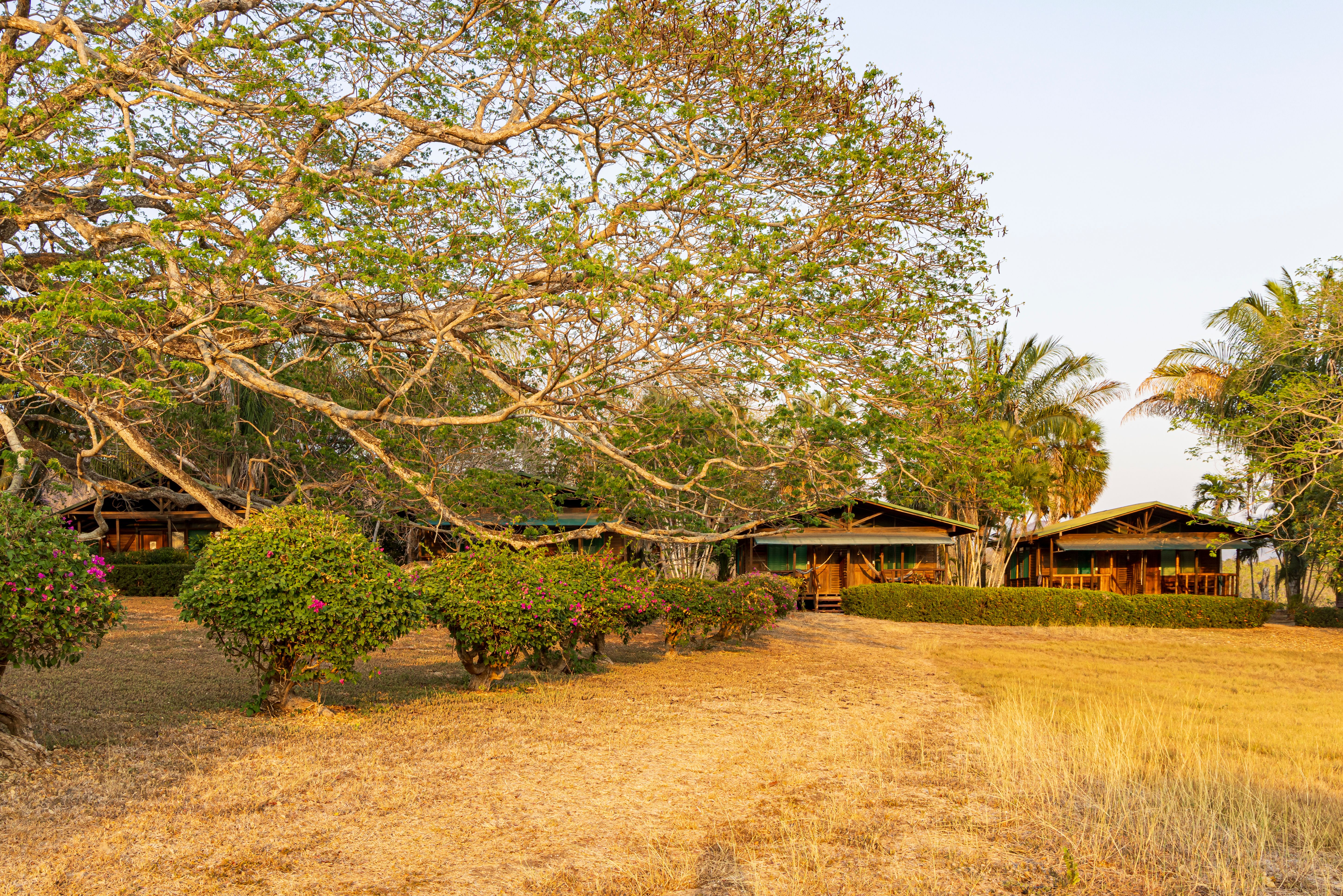 villa rica neighborhood