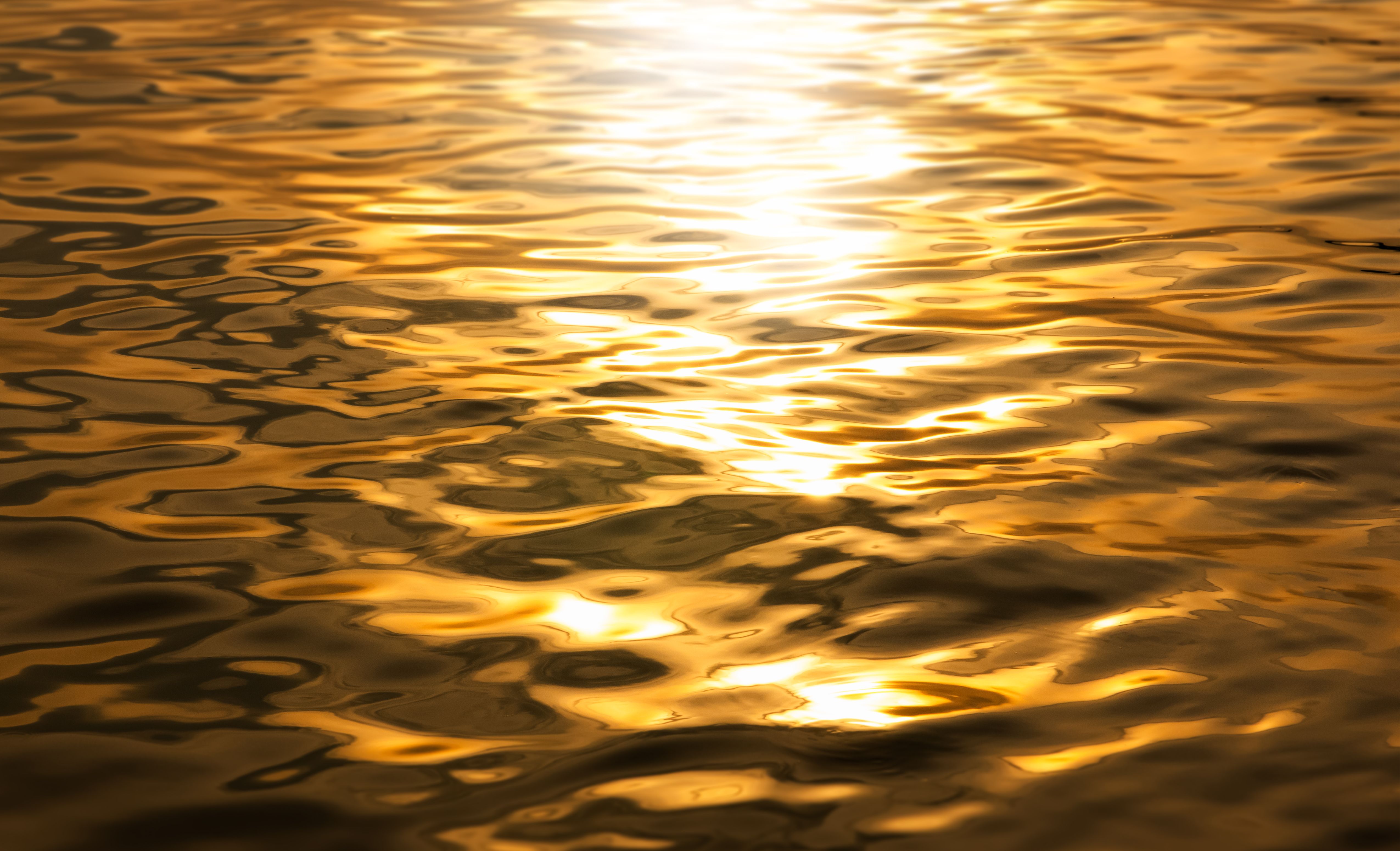 golden hour photography