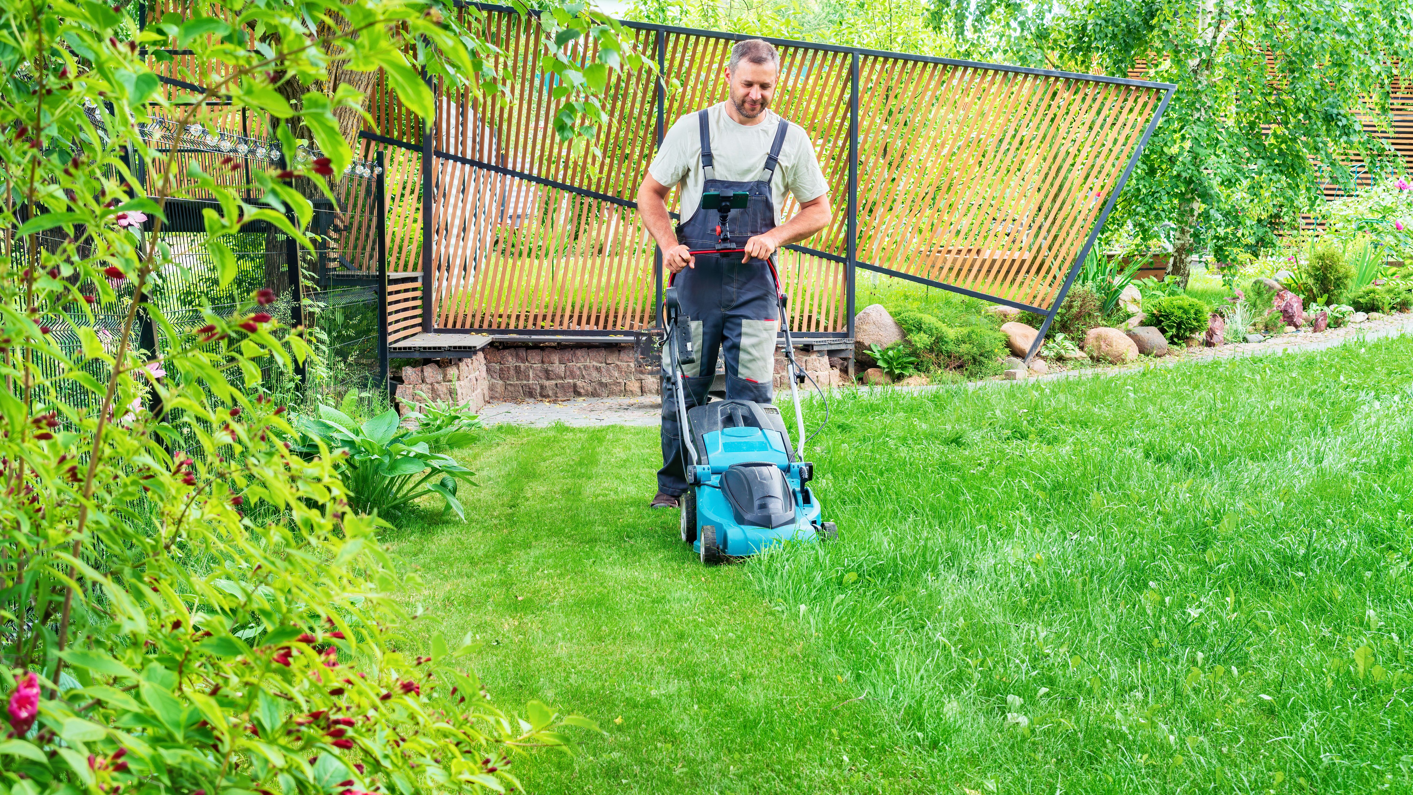 diy lawn care