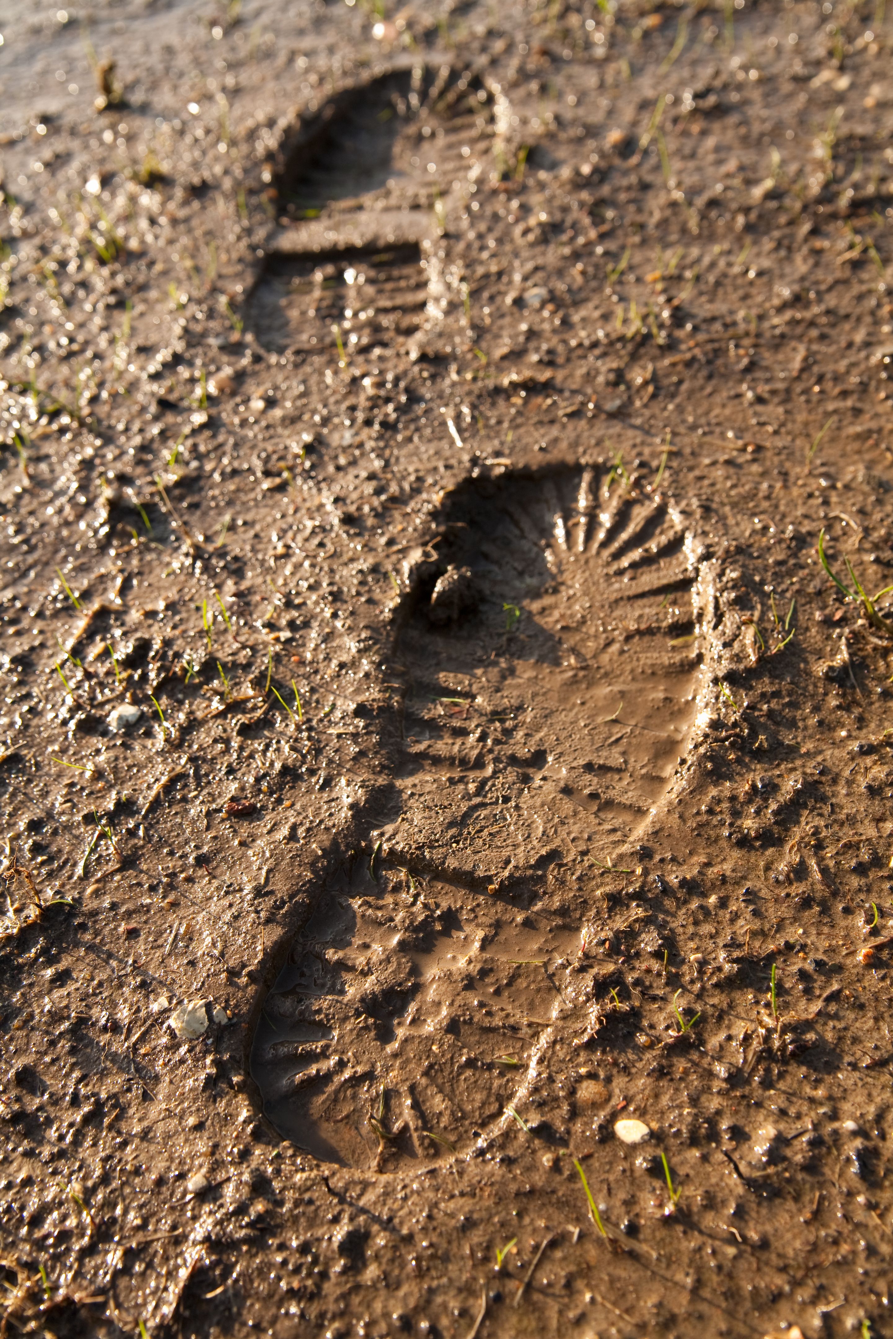 muddy shoes